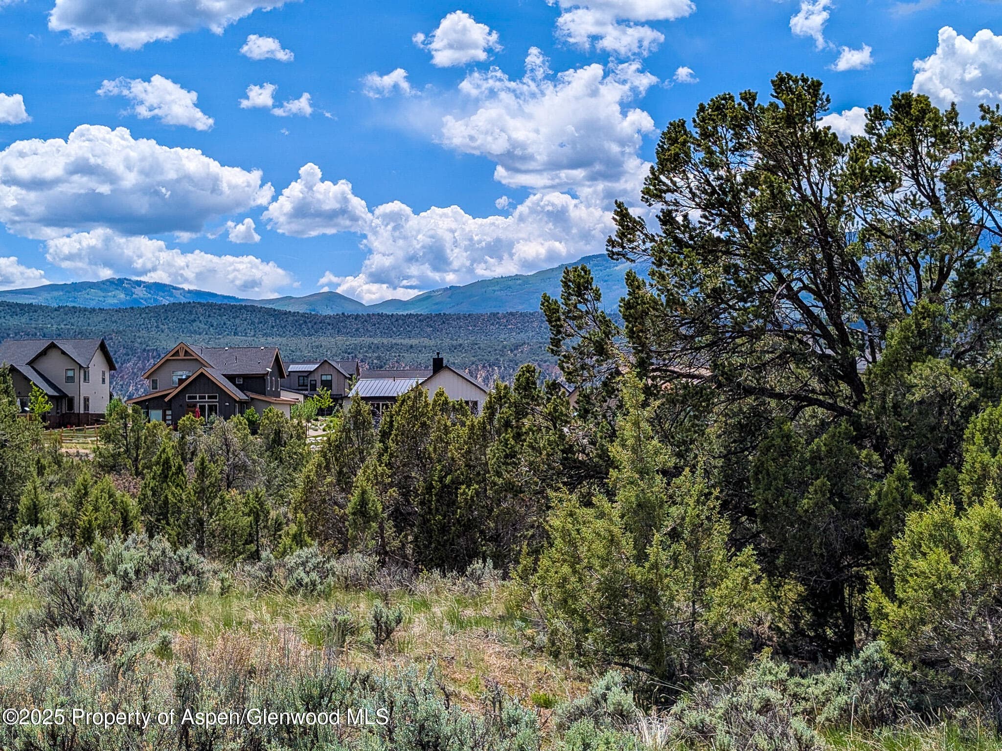 117 Paintbrush Way, Glenwood Springs, CO 81601 - Photo 8