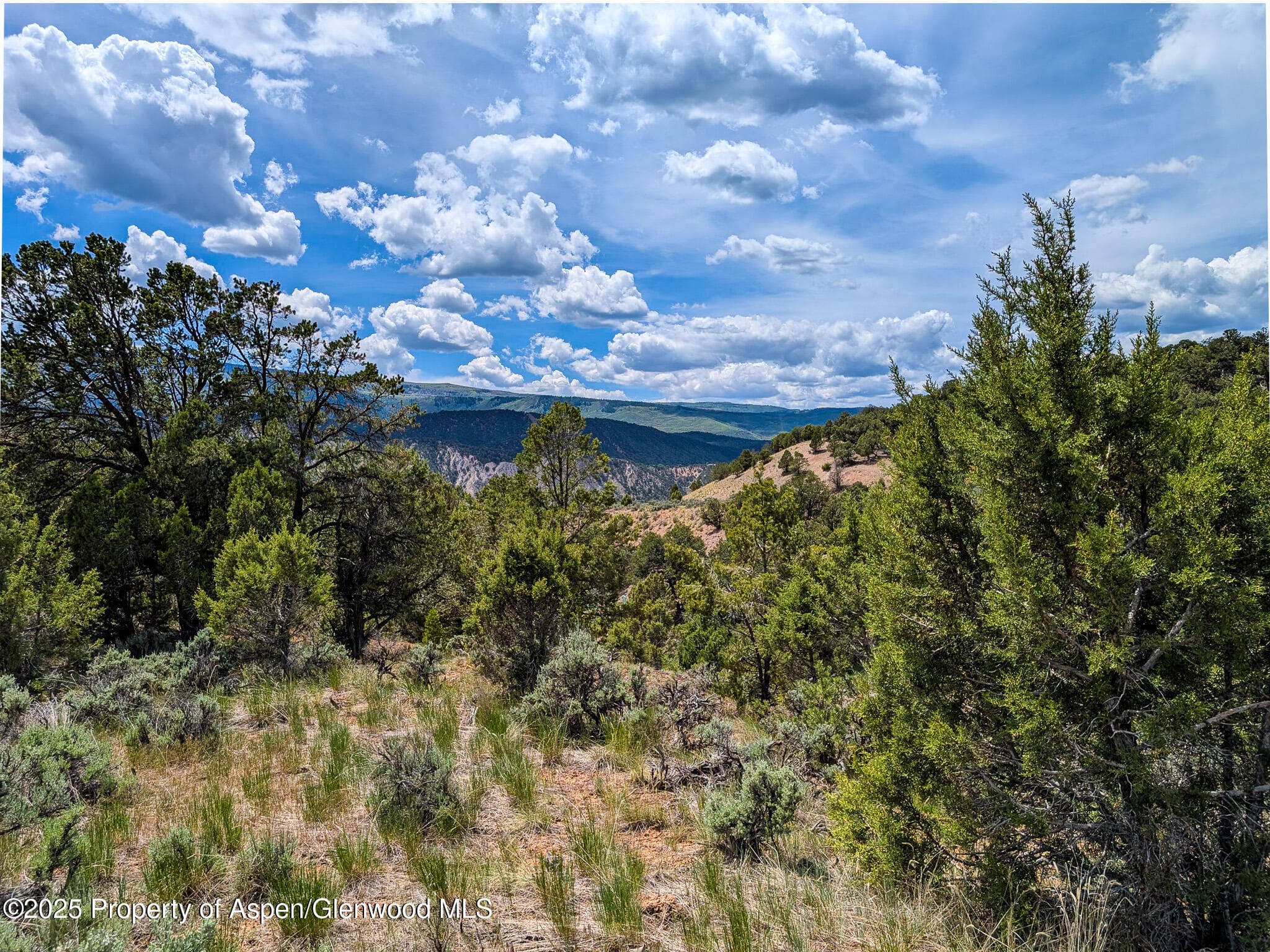 117 Paintbrush Way, Glenwood Springs, CO 81601 - Photo 9