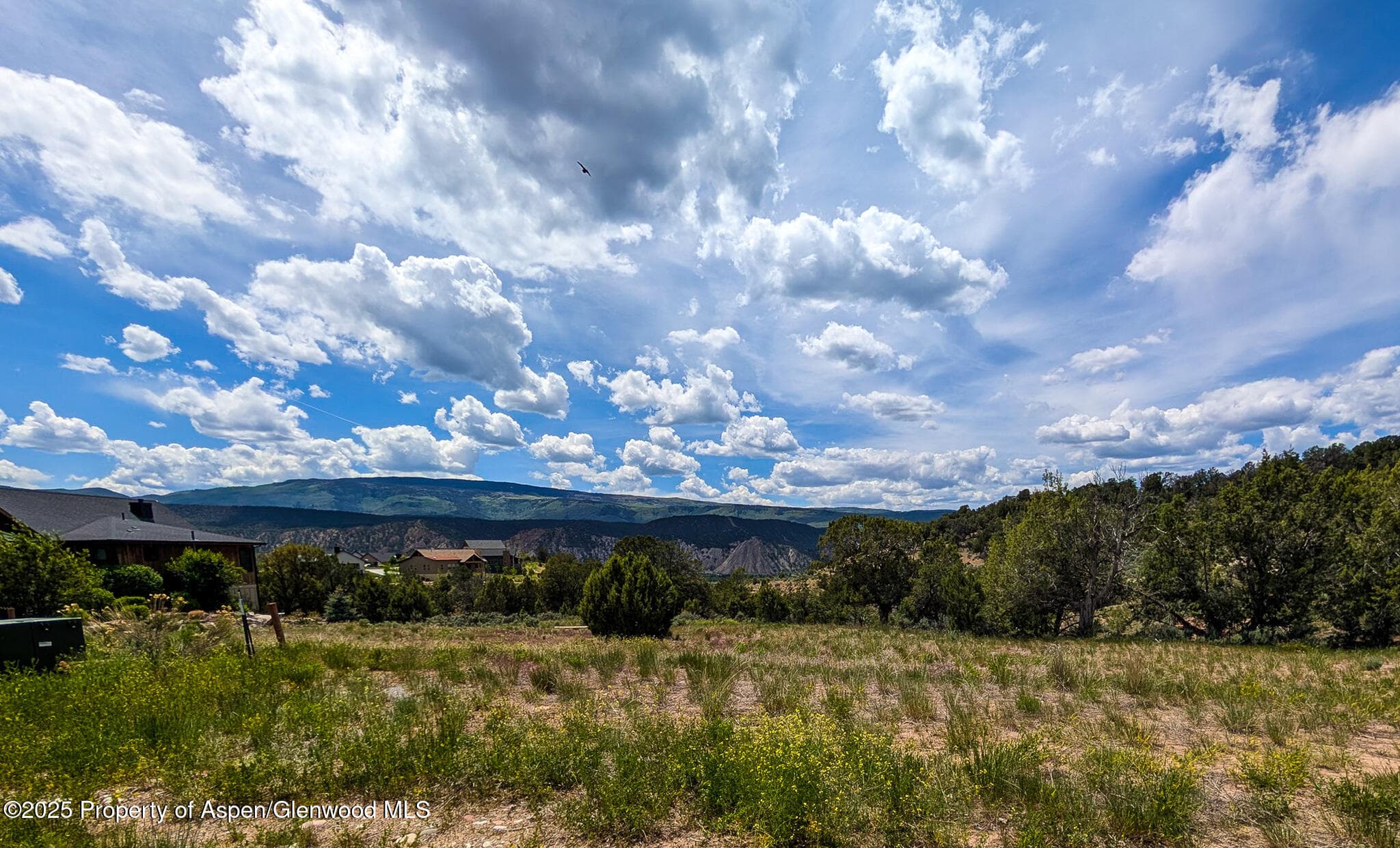 117 Paintbrush Way, Glenwood Springs, CO 81601 - Photo 12