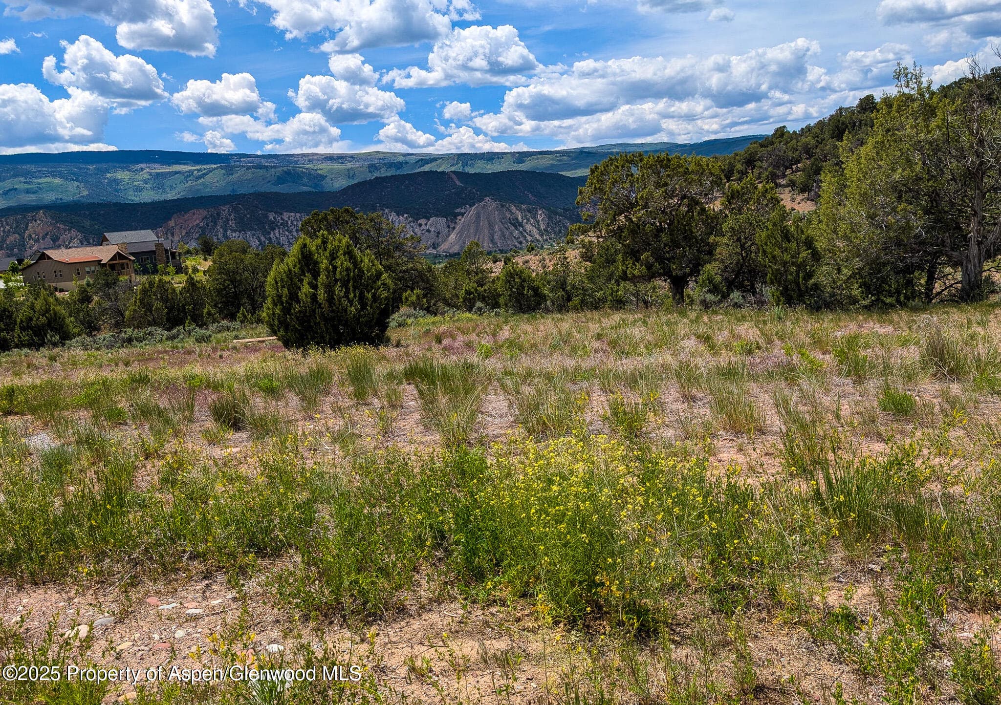 117 Paintbrush Way, Glenwood Springs, CO 81601 - Photo 13