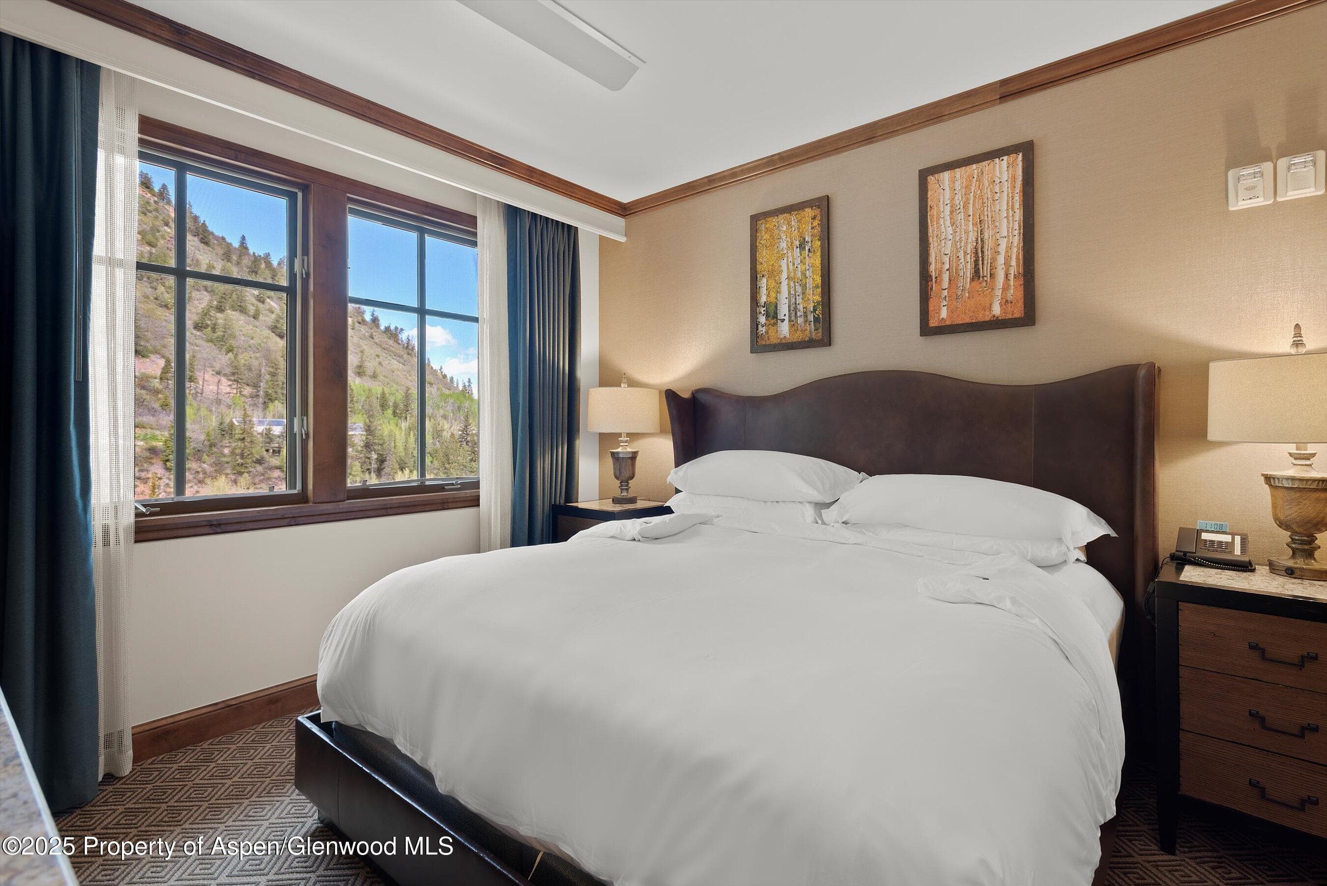 39 BOOMERANG Road 8411/ Winter Interest 14, Aspen, CO 81611 - Photo 11
