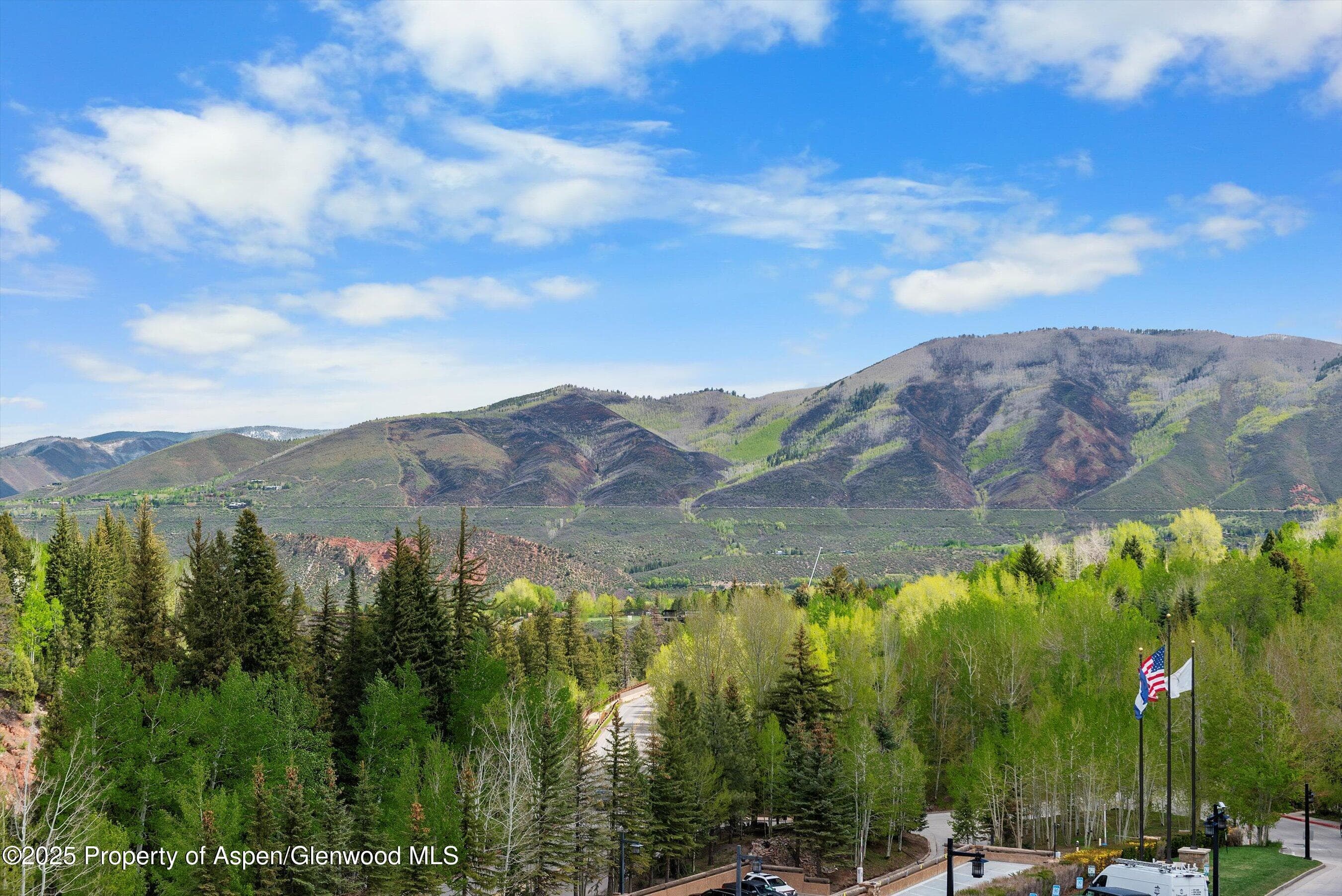 39 BOOMERANG Road 8411/ Winter Interest 14, Aspen, CO 81611 - Photo 20