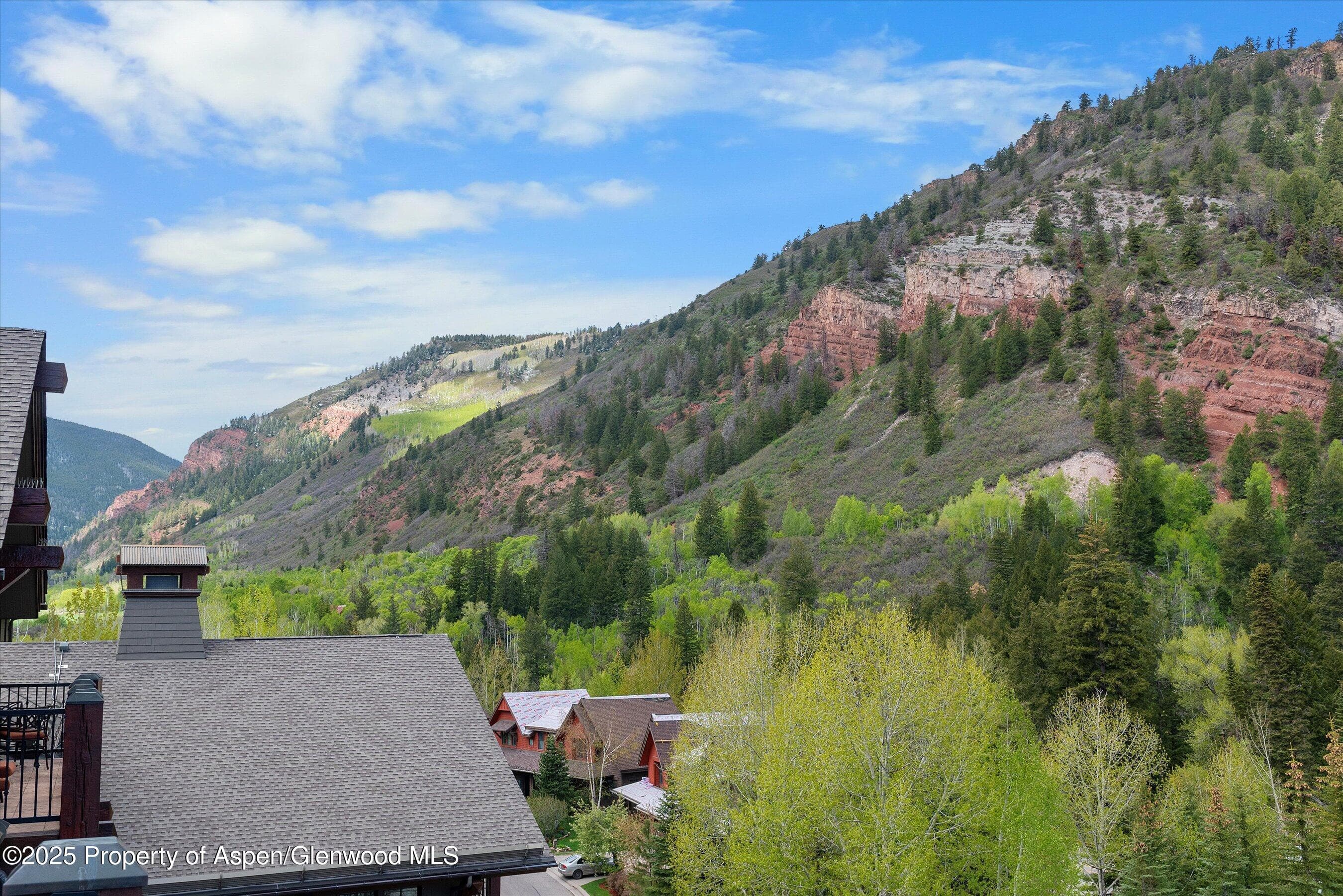 39 BOOMERANG Road 8411/ Winter Interest 14, Aspen, CO 81611 - Photo 21