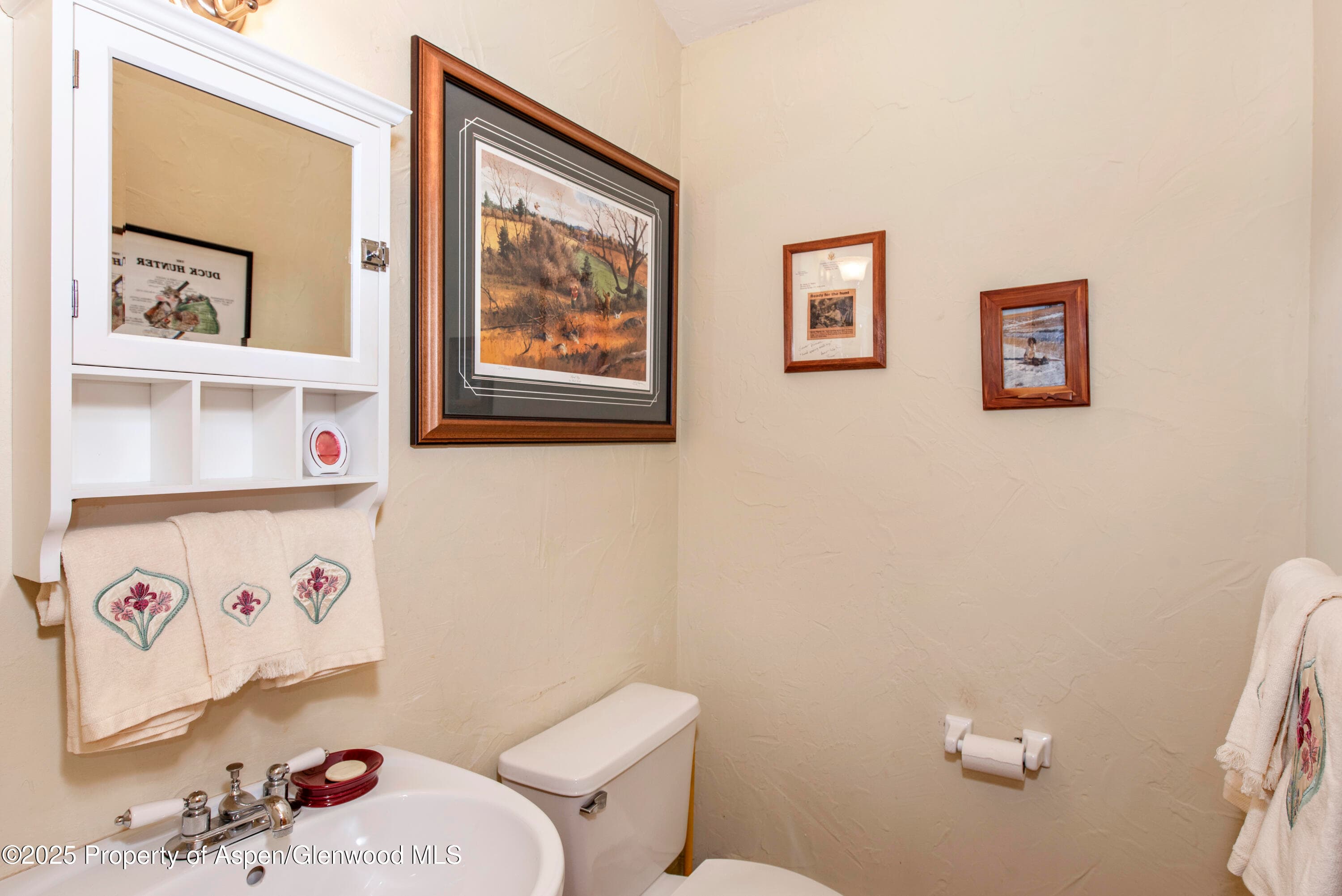 172 Sunny Acres Road, Glenwood Springs, CO 81601 - Photo 9