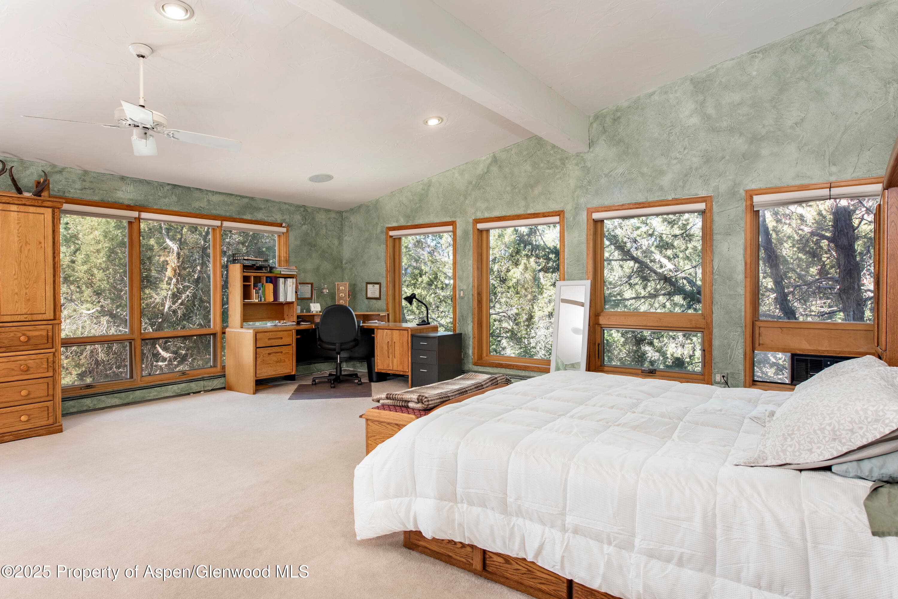 172 Sunny Acres Road, Glenwood Springs, CO 81601 - Photo 10