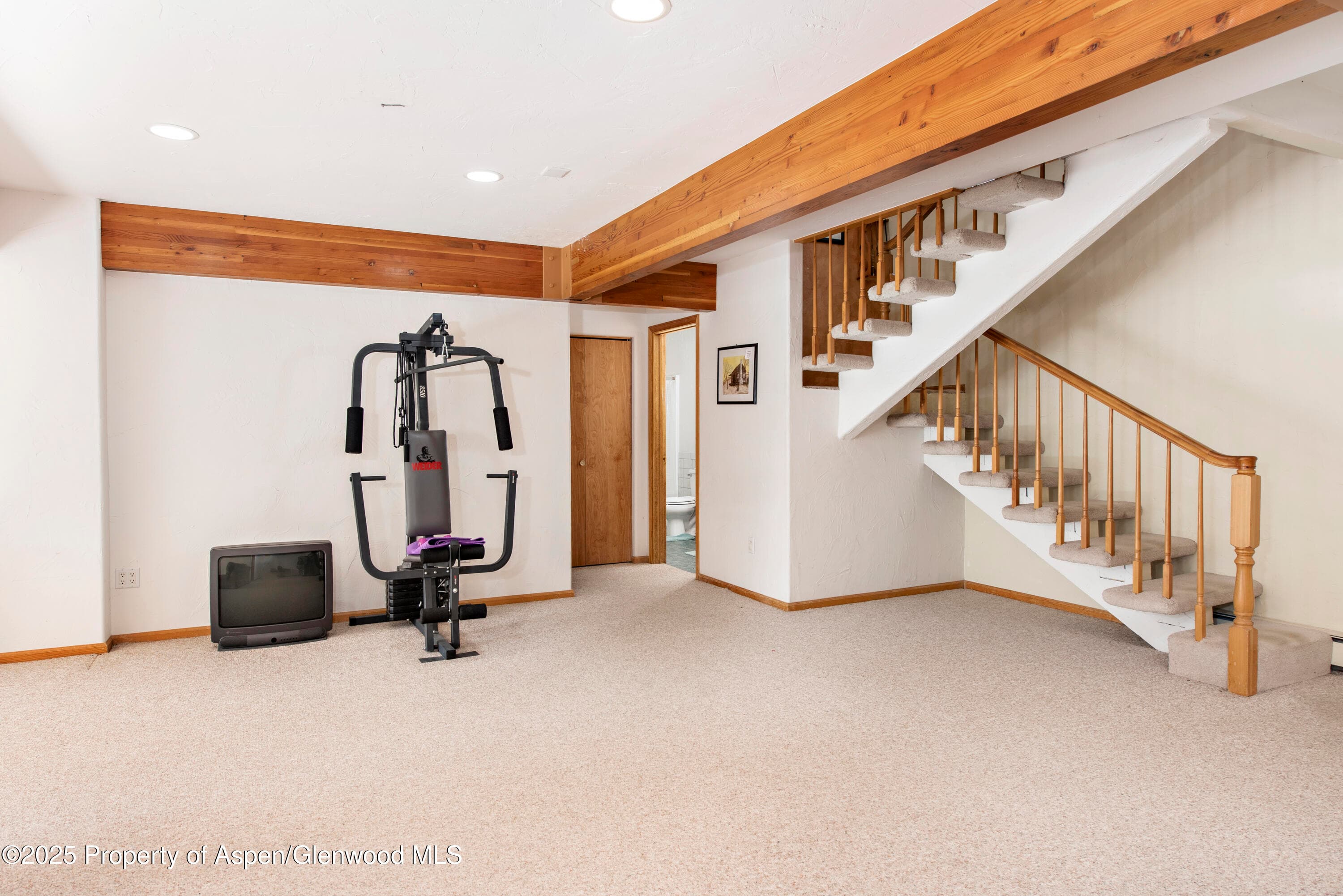 172 Sunny Acres Road, Glenwood Springs, CO 81601 - Photo 20