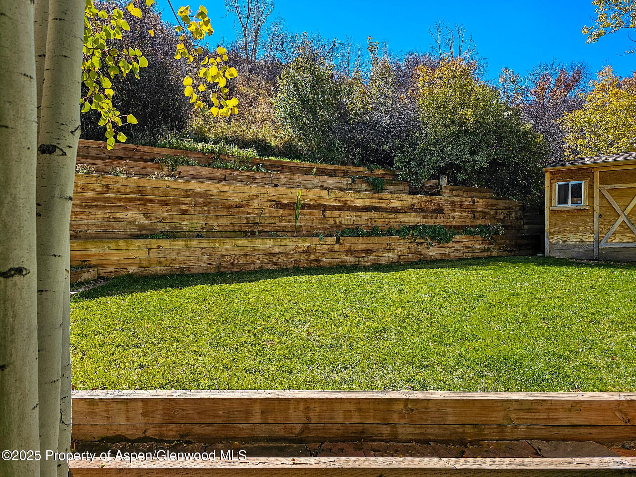137 Ridge Trail, Aspen, CO 81611 - Photo 21