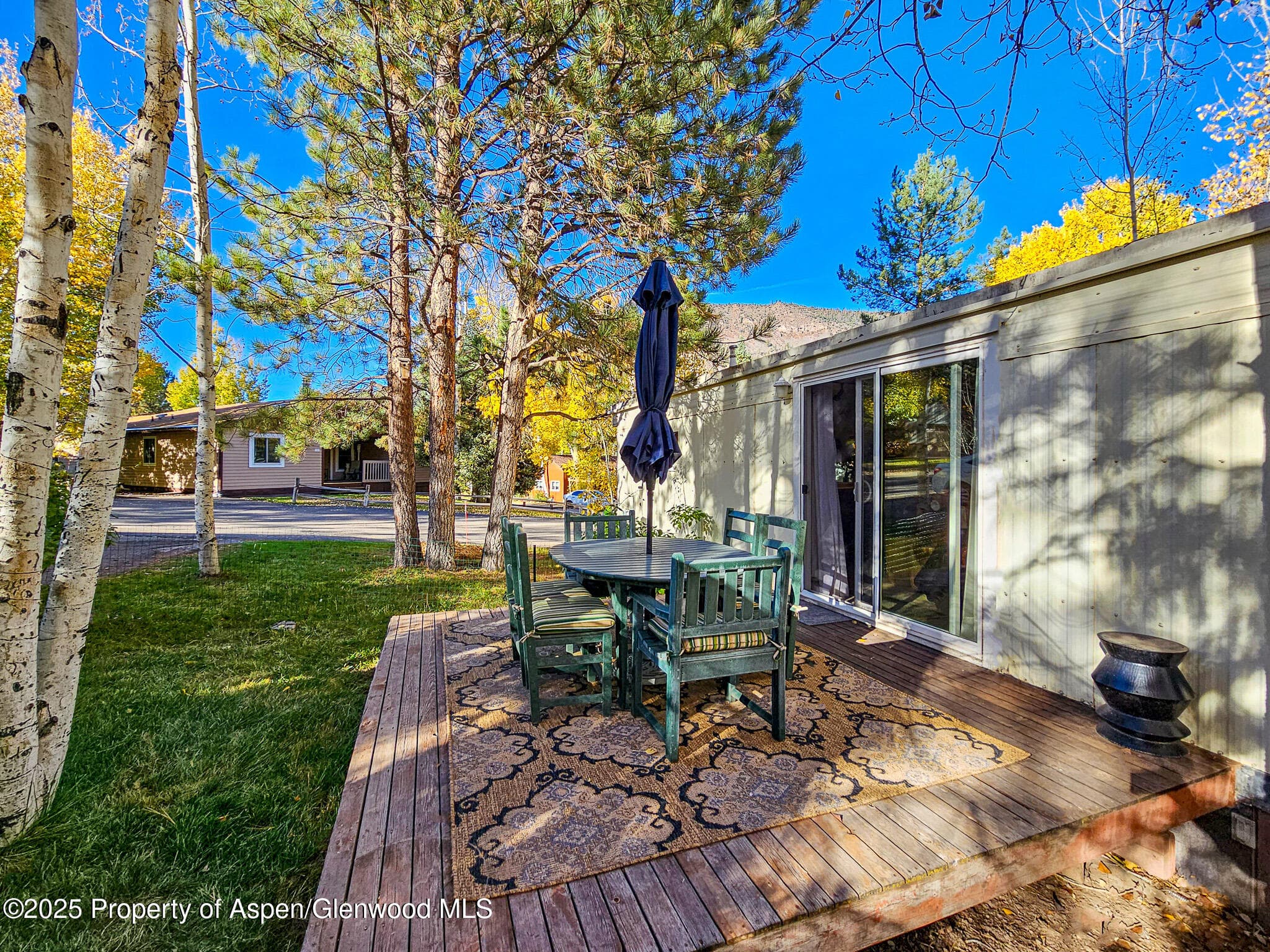 137 Ridge Trail, Aspen, CO 81611 - Photo 7