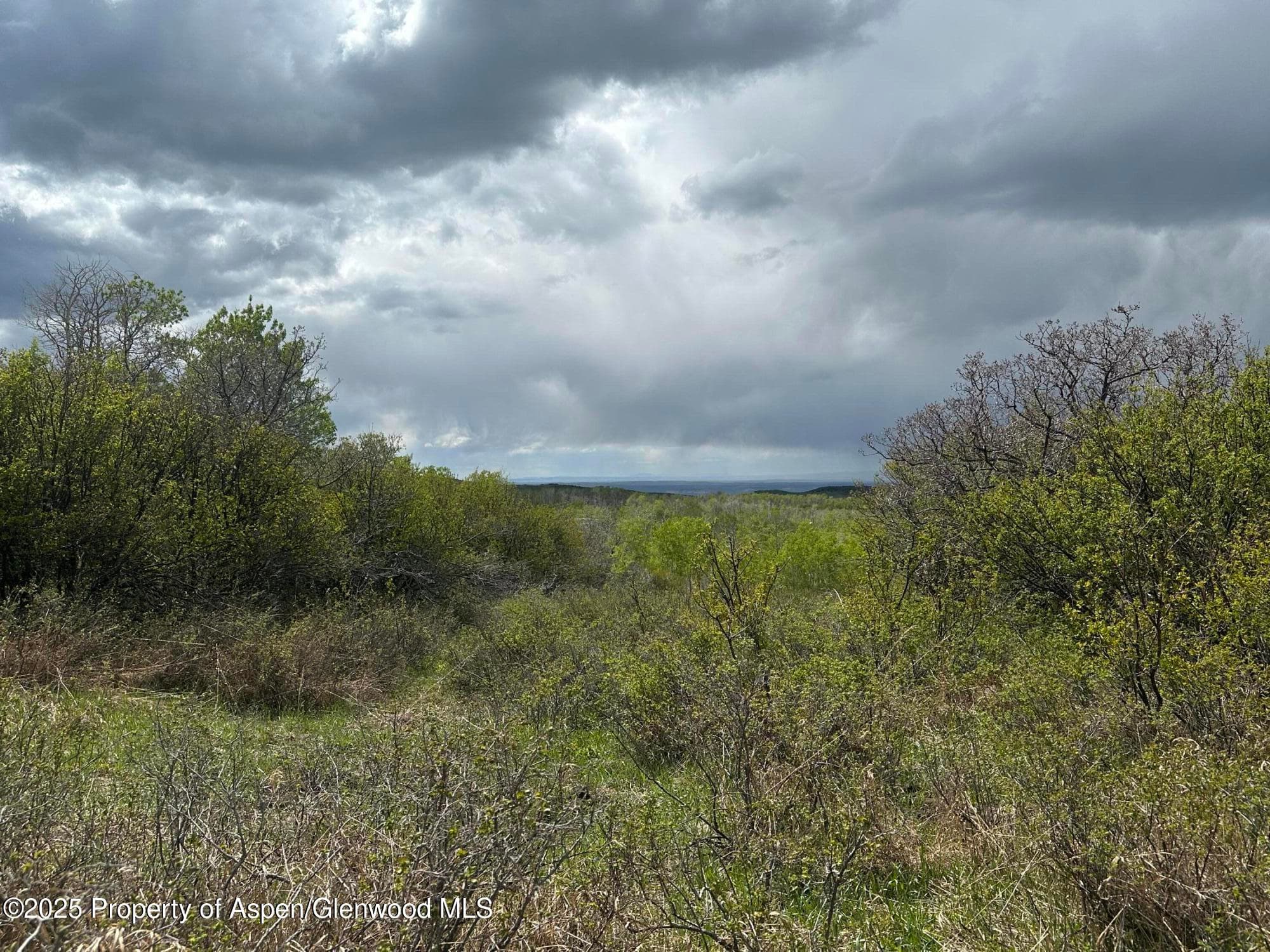 2025 Timberlane Drive, Craig, CO 81625 - Photo 6
