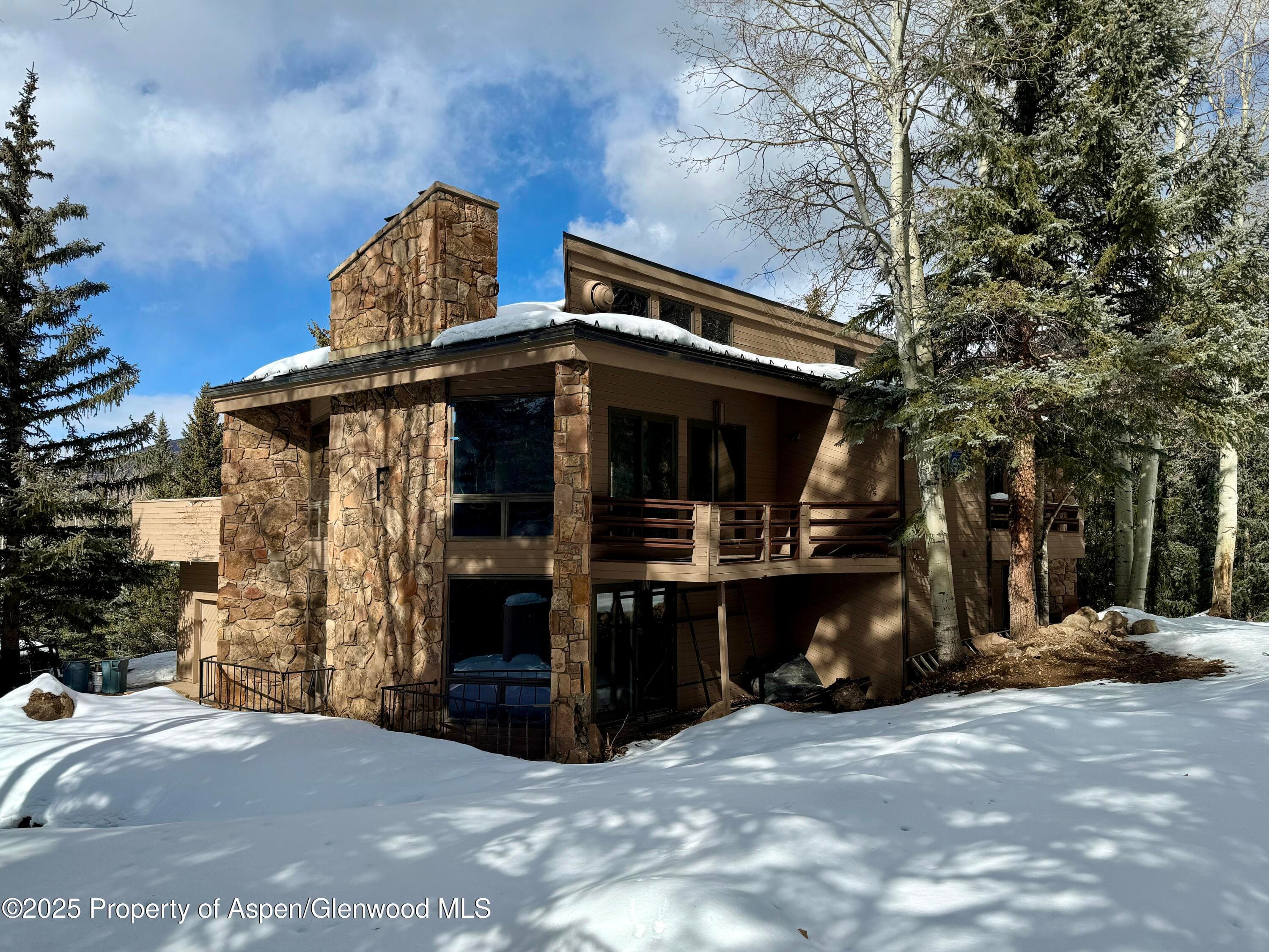 108 MIDLAND Avenue, Aspen, CO 81611 - Photo 8