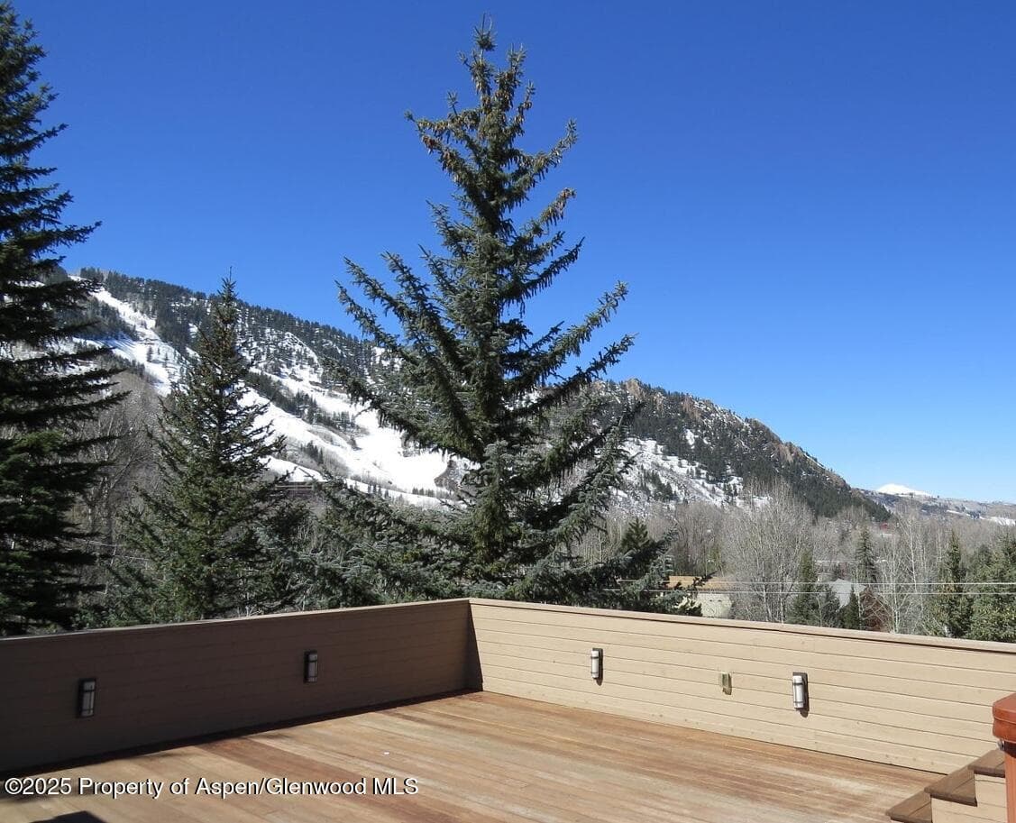 108 MIDLAND Avenue, Aspen, CO 81611 - Photo 11