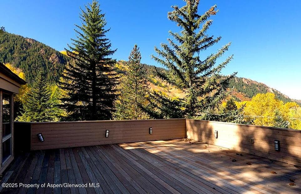 108 MIDLAND Avenue, Aspen, CO 81611 - Photo 12