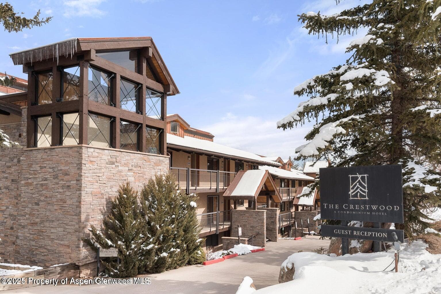 400 Wood Road 2104b, Snowmass Village, CO 81615 - Photo 12