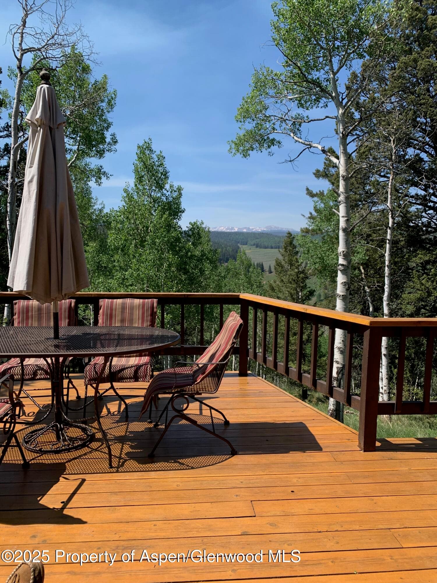 771 Spruce Road, Cimarron, CO 81220 - Photo 30