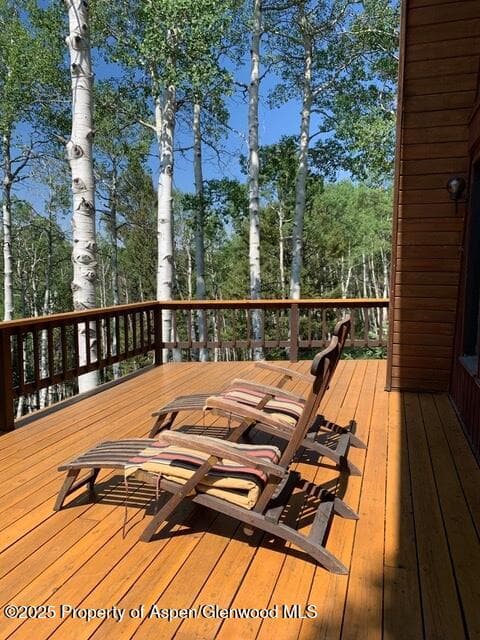 771 Spruce Road, Cimarron, CO 81220 - Photo 31