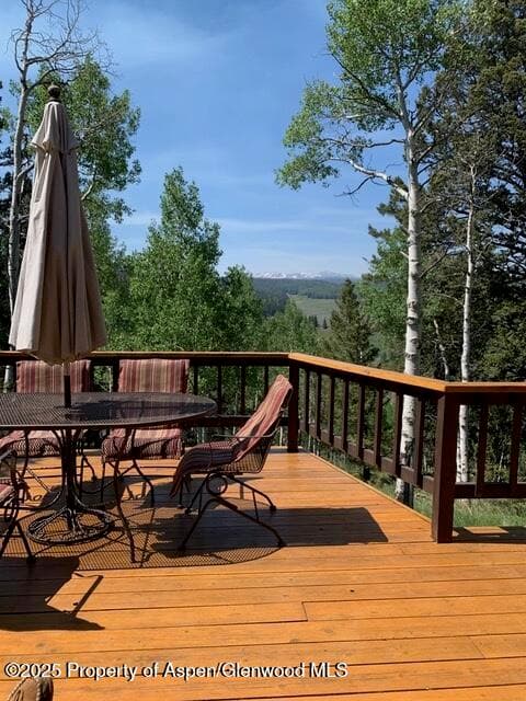 771 Spruce Road, Cimarron, CO 81220 - Photo 32