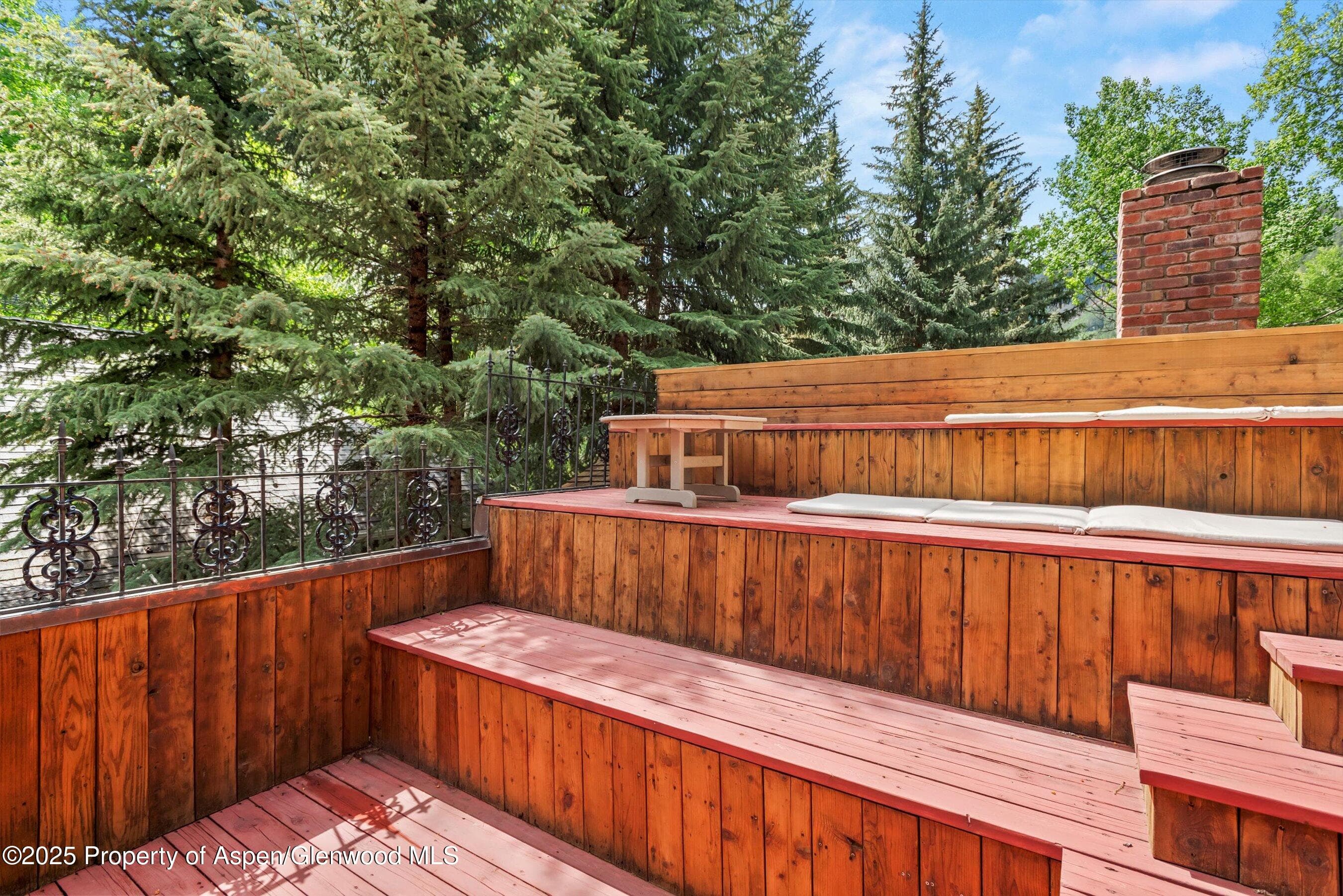126 W FRANCIS Street, Aspen, CO 81611 - Photo 19