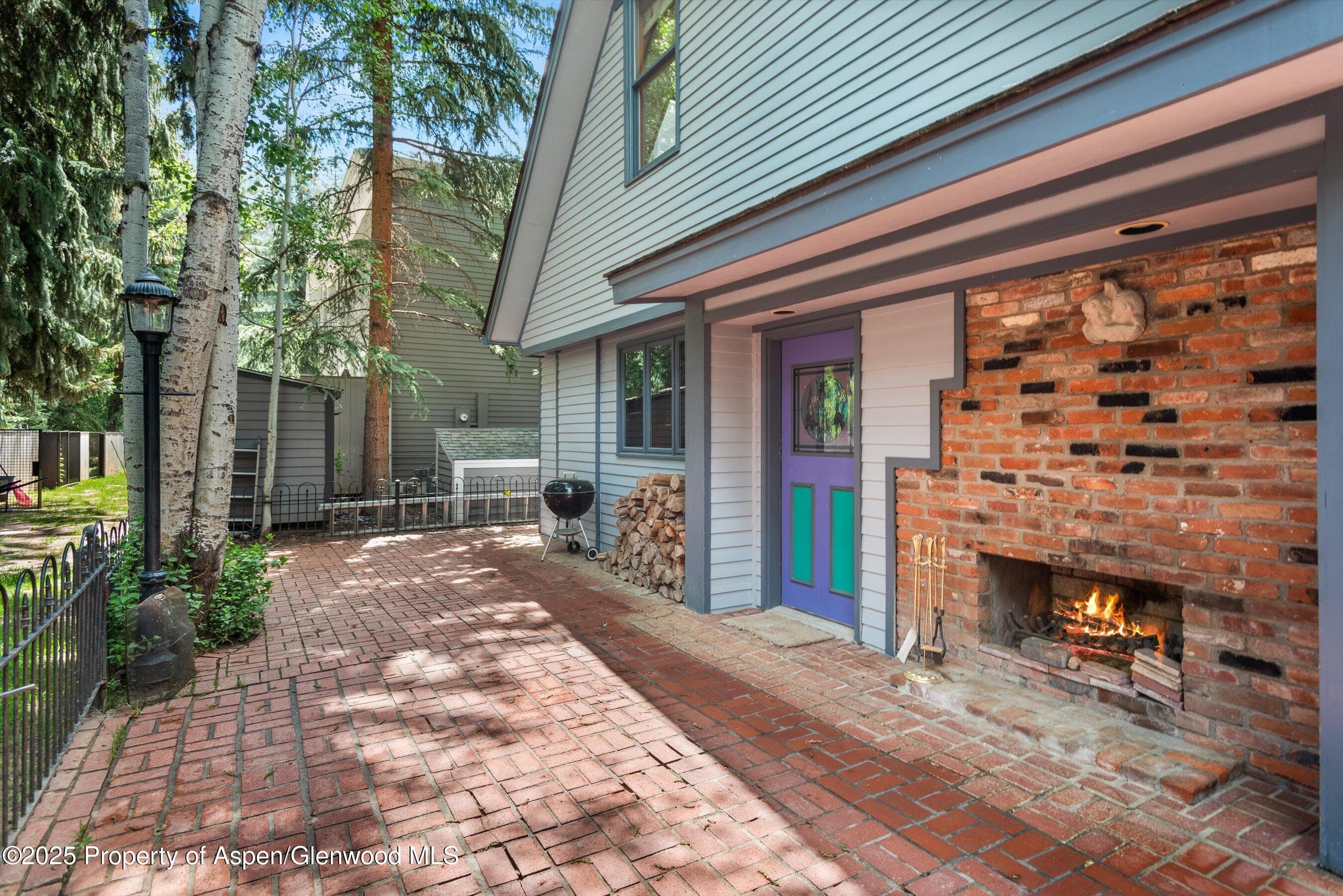 126 W FRANCIS Street, Aspen, CO 81611 - Photo 24