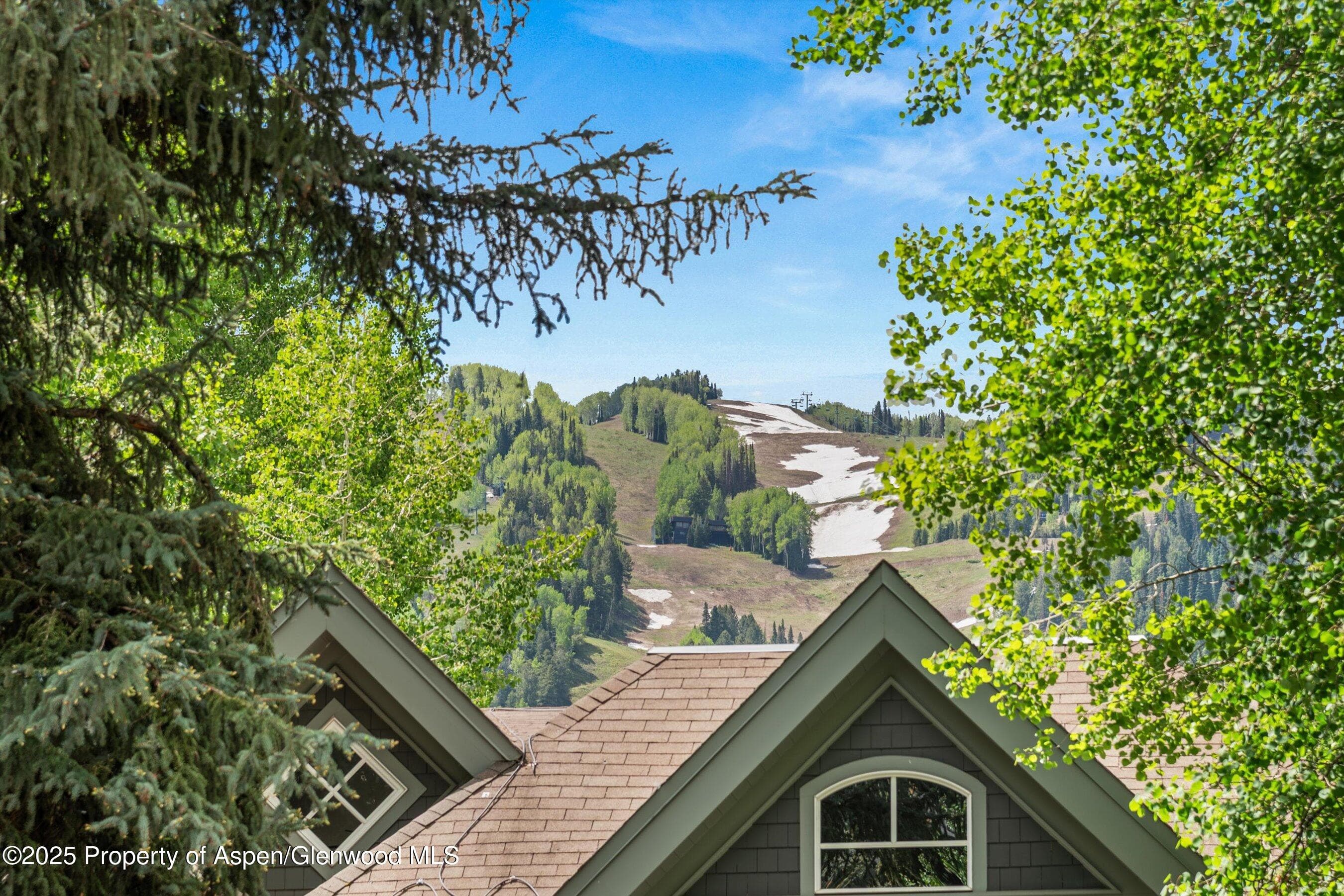 126 W FRANCIS Street, Aspen, CO 81611 - Photo 20