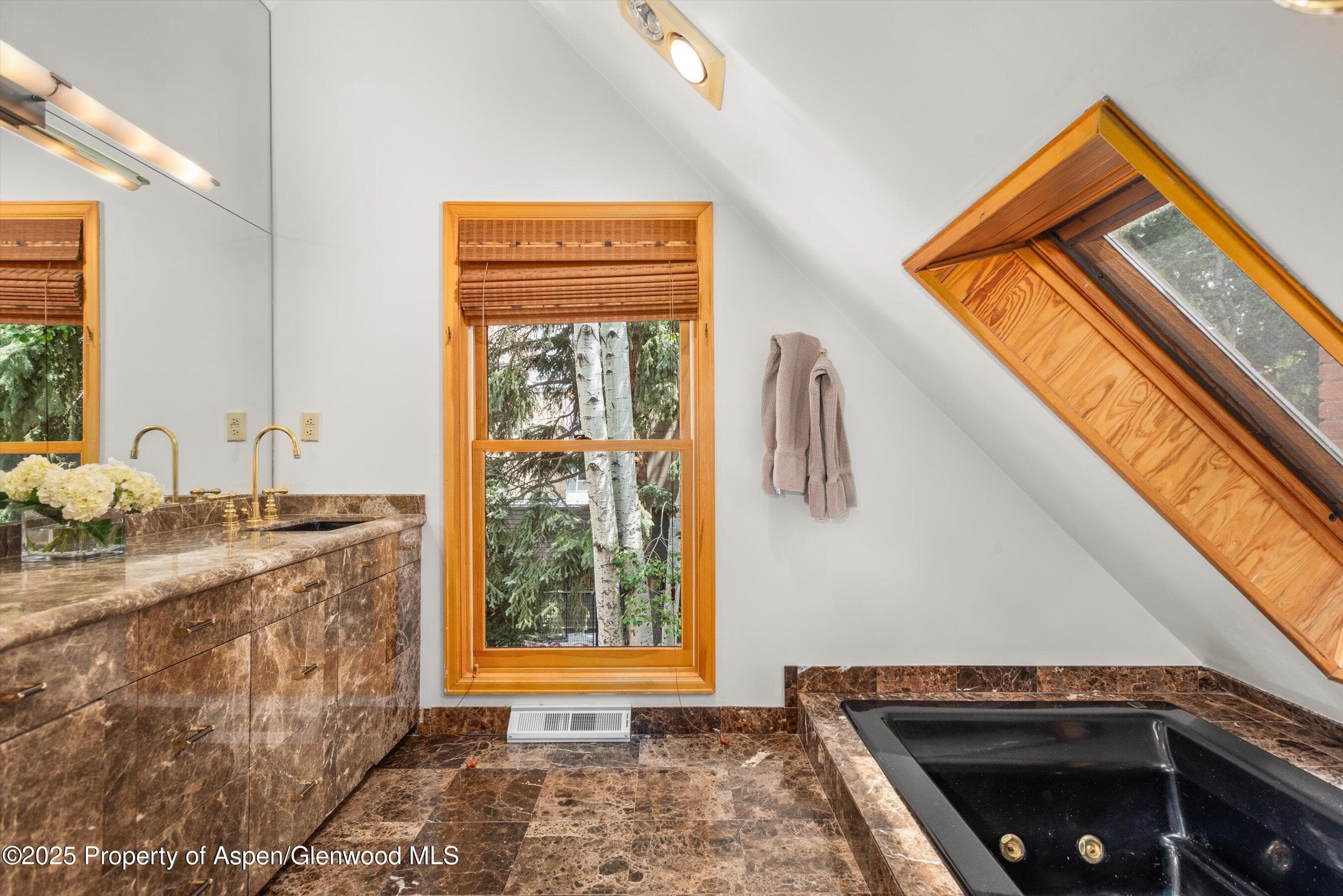 126 W FRANCIS Street, Aspen, CO 81611 - Photo 9