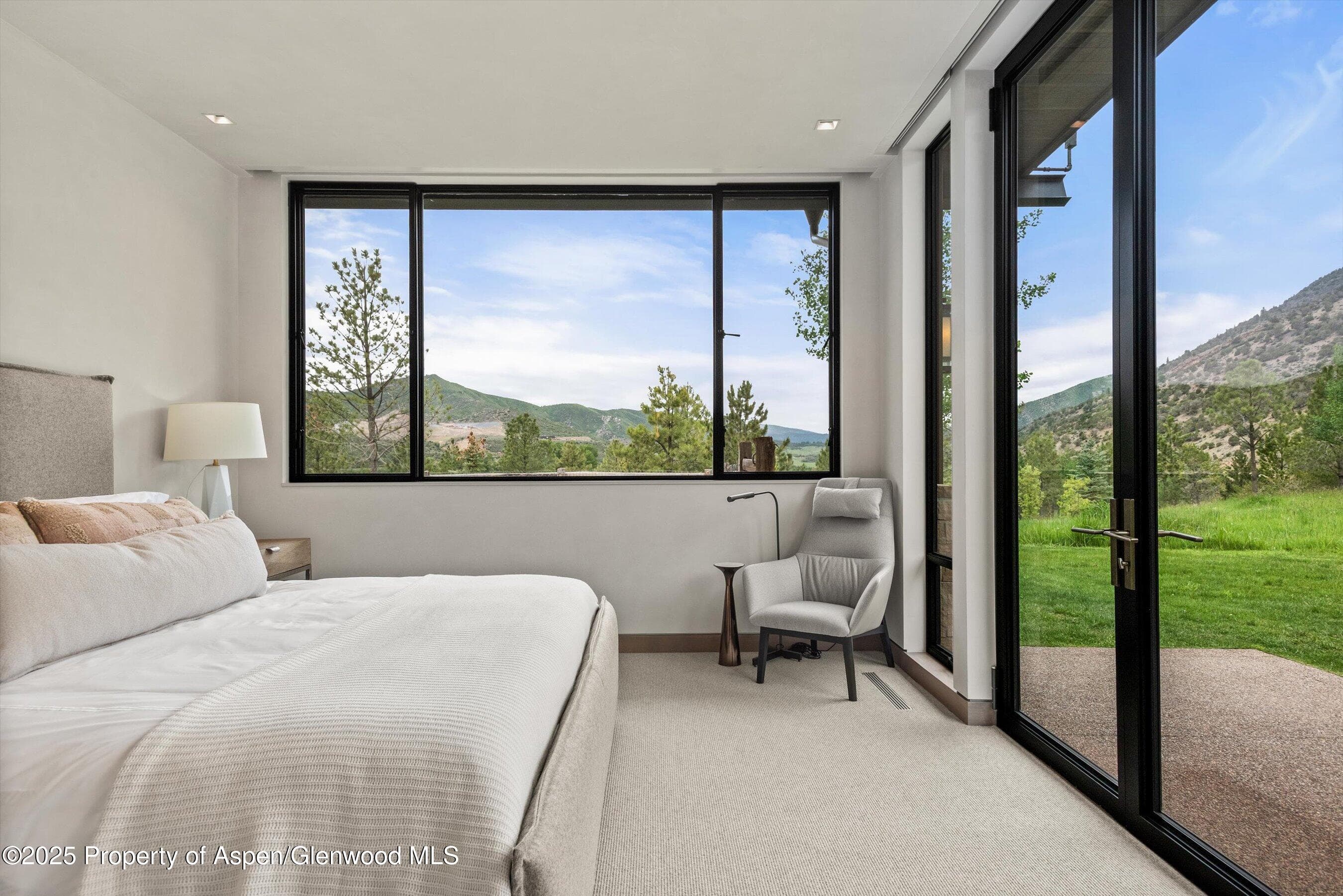 31 E Bourg Trail, Woody Creek, CO 81656 - Photo 23