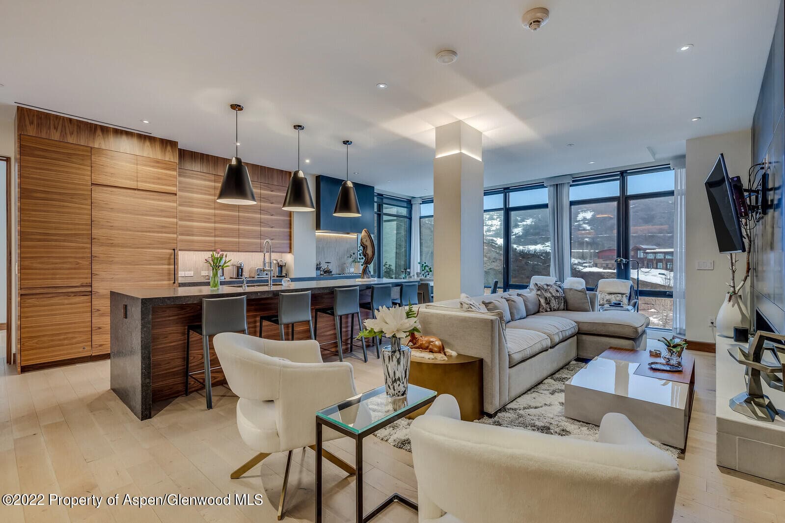 45 Wood Road 301, Snowmass Village, CO 81615 - Photo 1