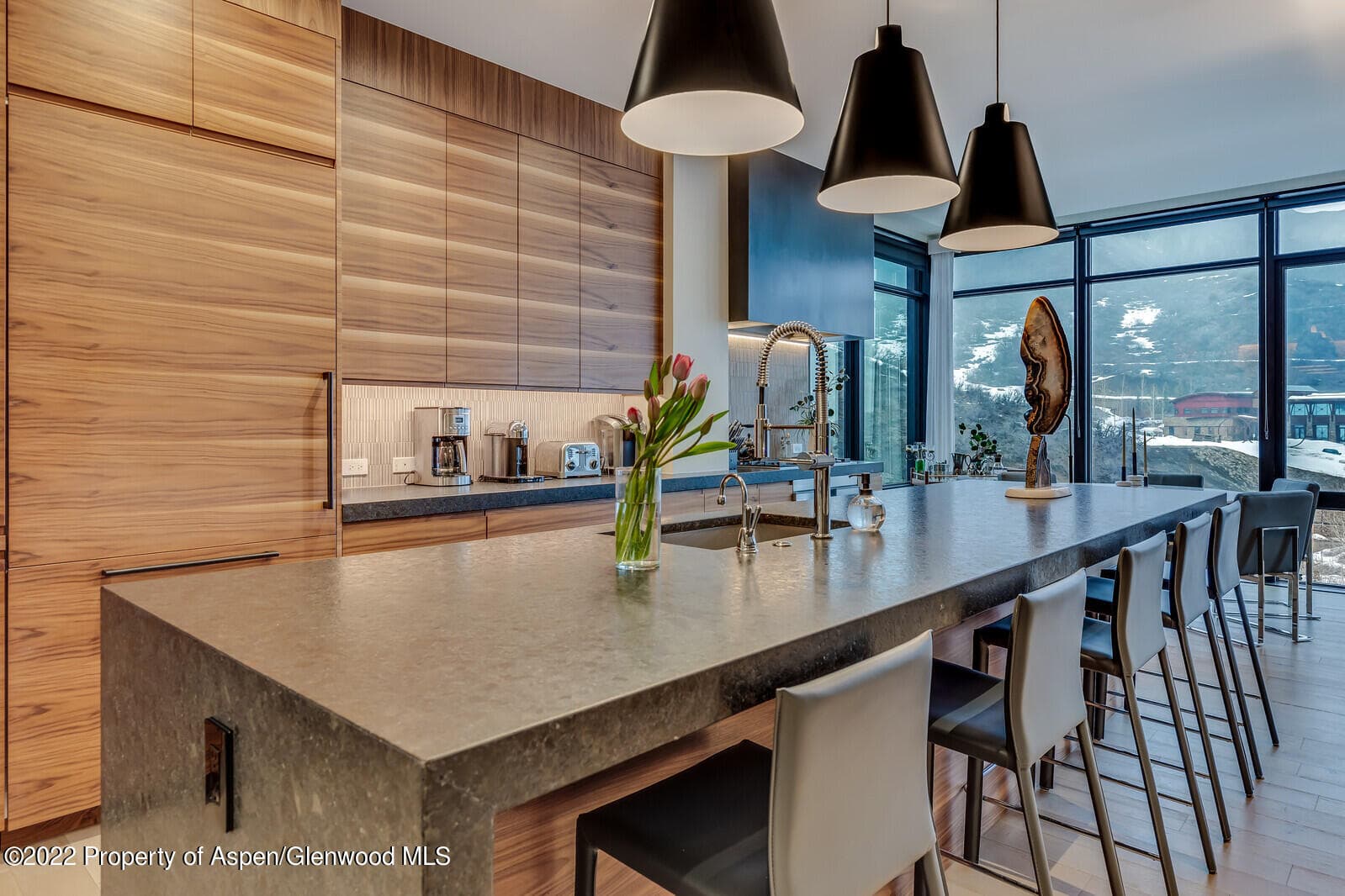 45 Wood Road 301, Snowmass Village, CO 81615 - Photo 14