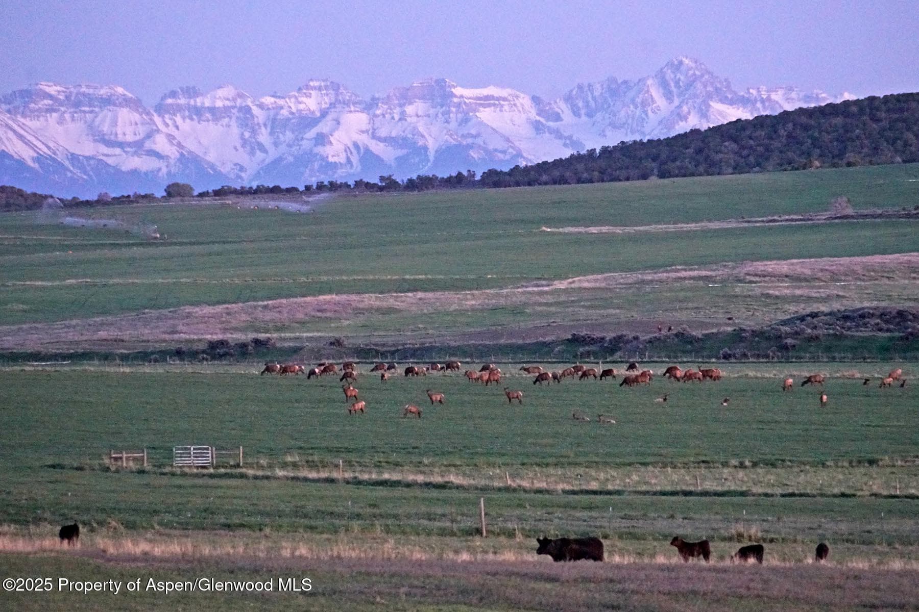 10676 Bostwick Road, Montrose, CO 81401 - Photo 3