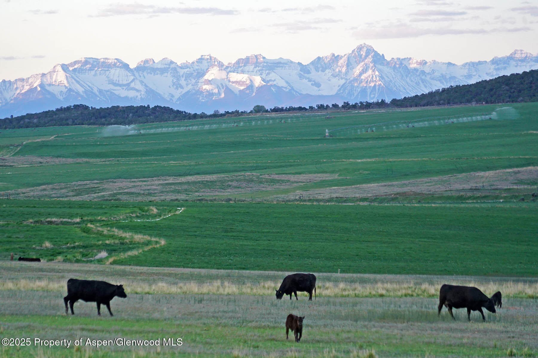 10676 Bostwick Road, Montrose, CO 81401 - Photo 8