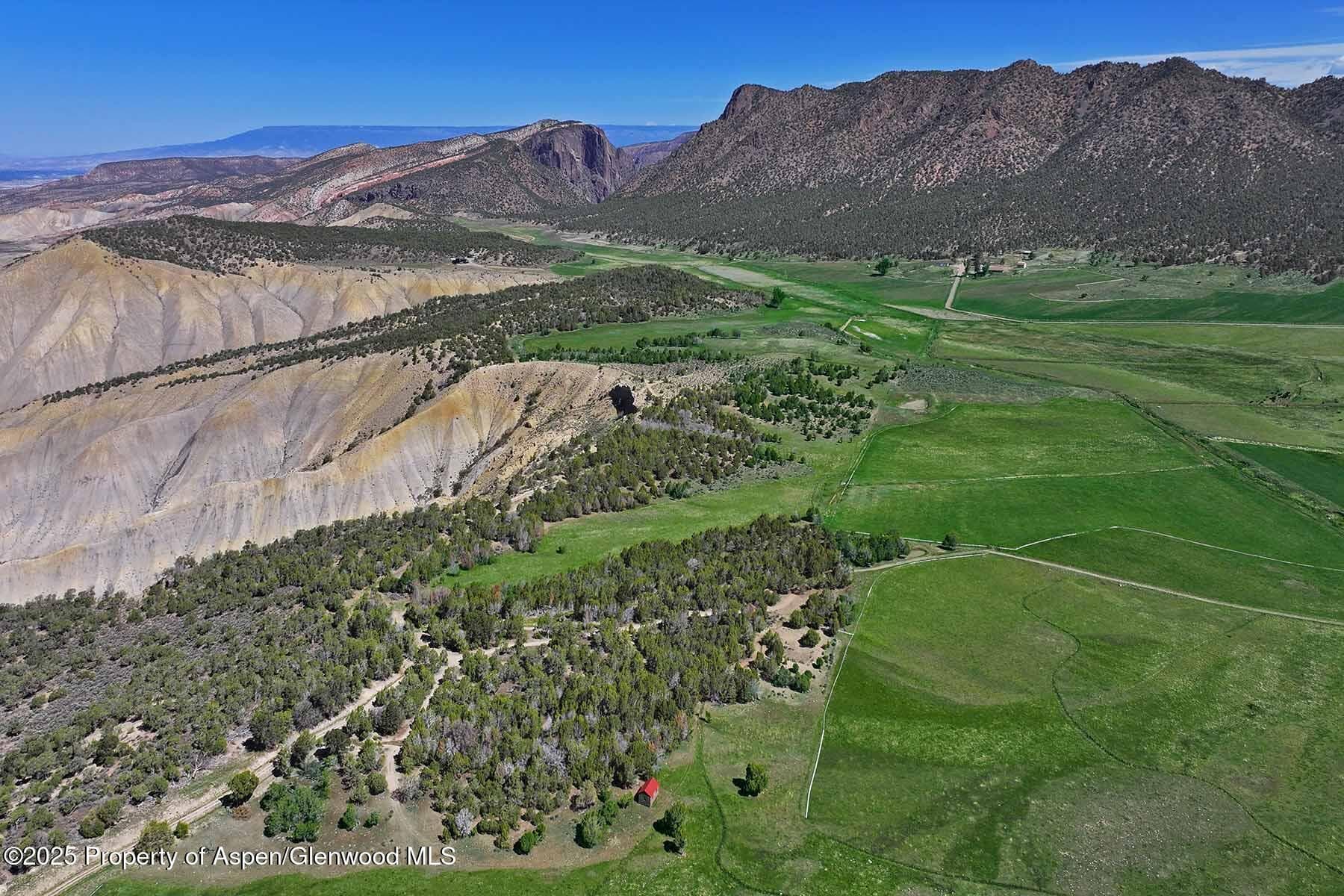 10676 Bostwick Road, Montrose, CO 81401 - Photo 9