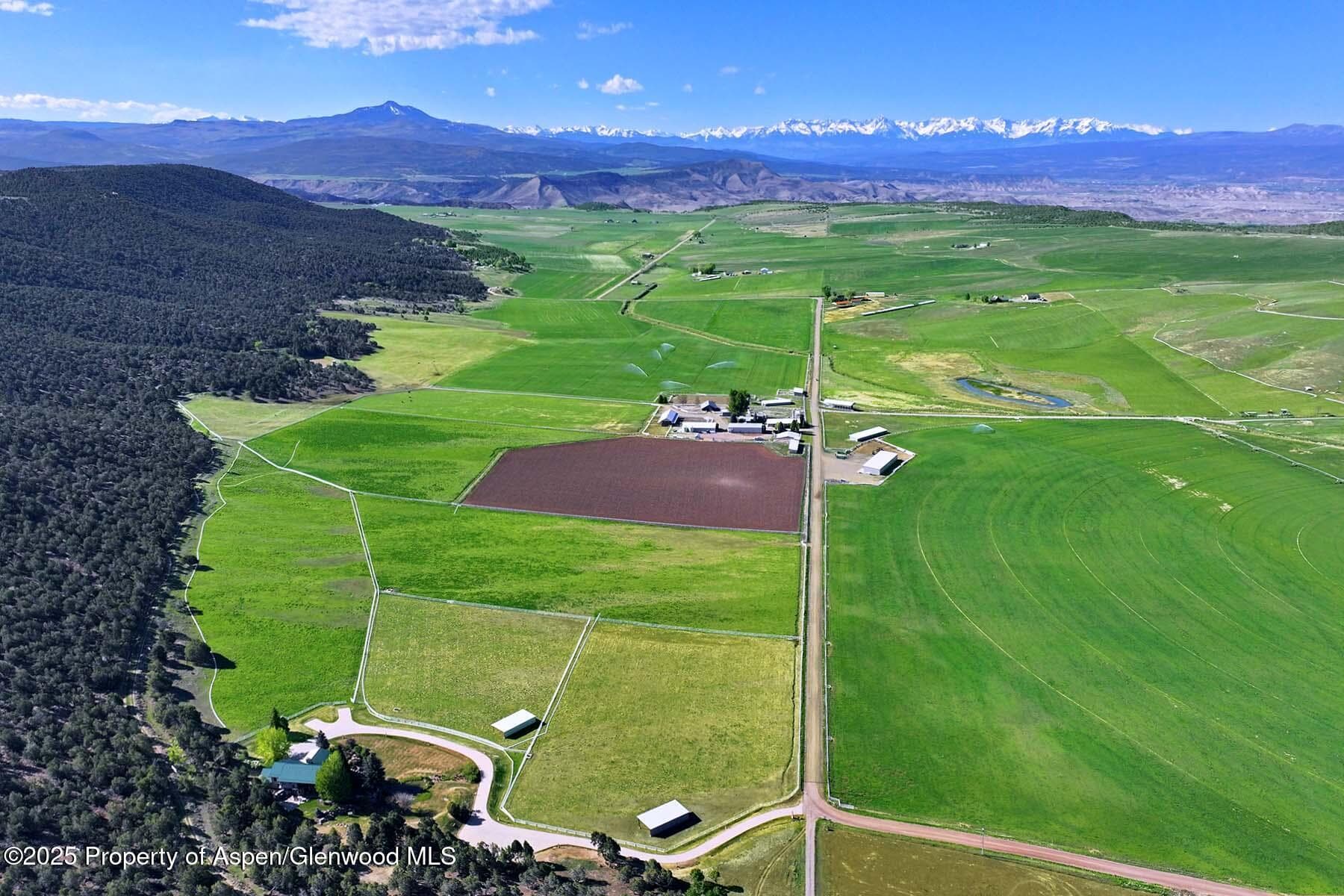 10676 Bostwick Road, Montrose, CO 81401 - Photo 13