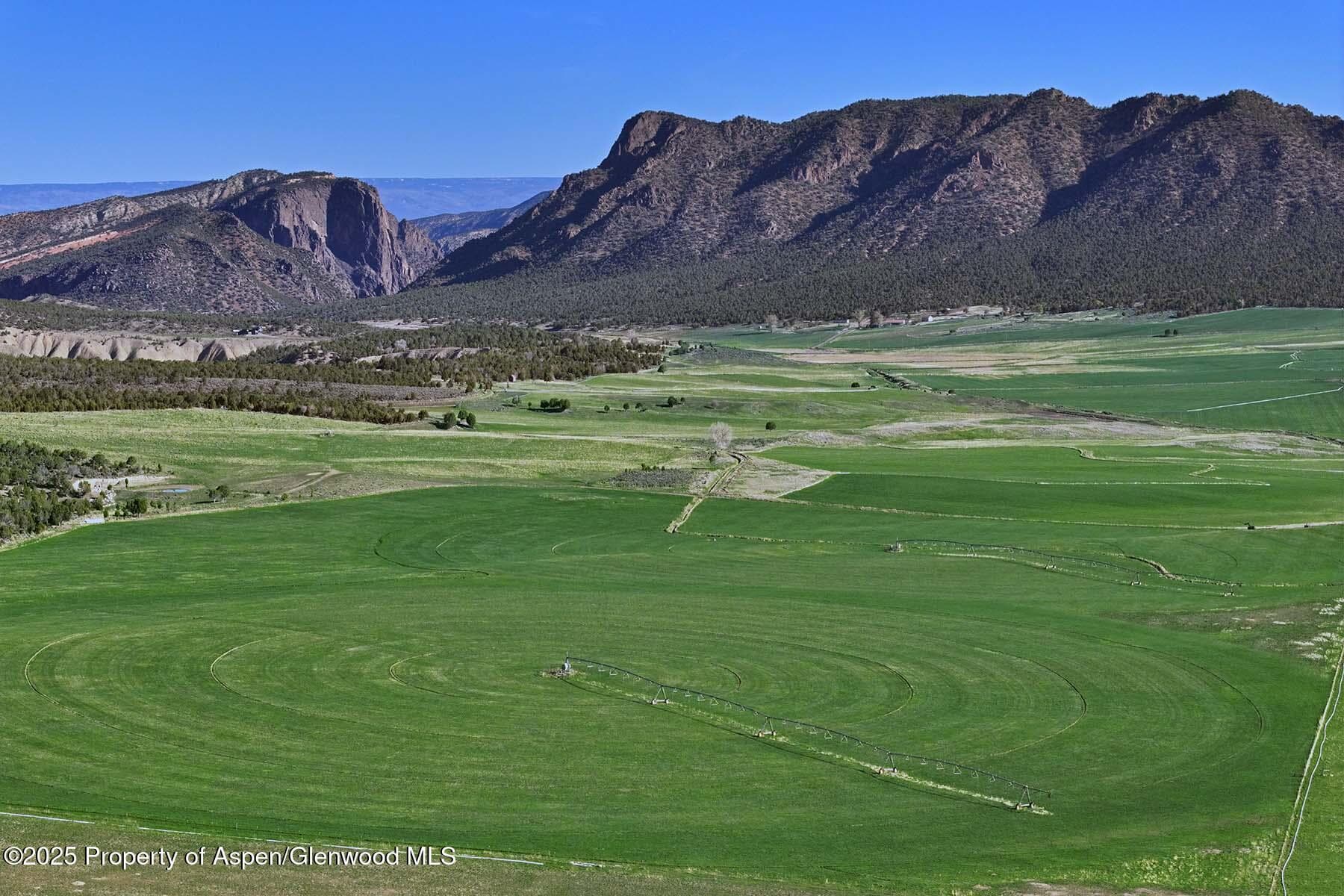 10676 Bostwick Road, Montrose, CO 81401 - Photo 21