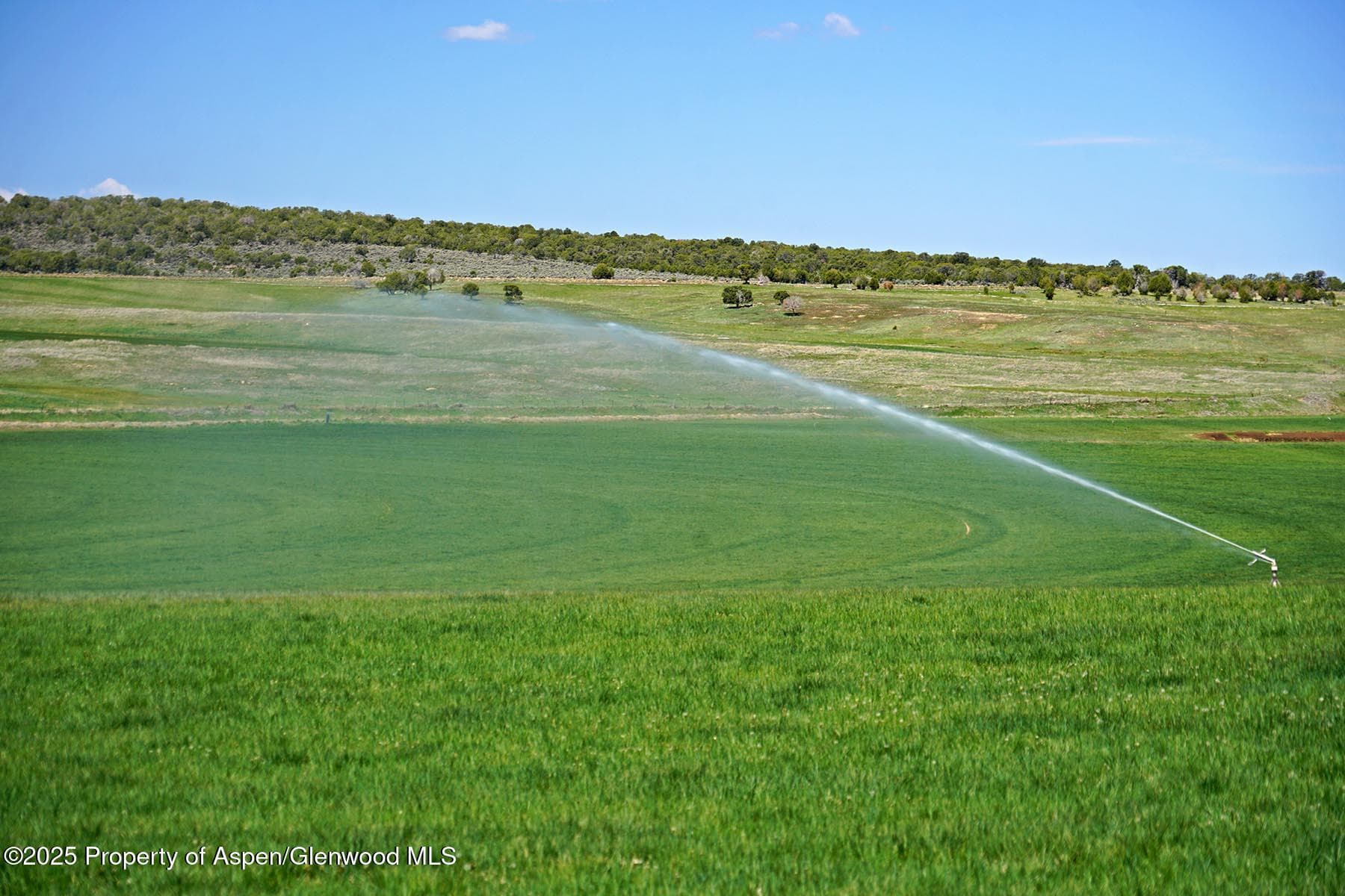 10676 Bostwick Road, Montrose, CO 81401 - Photo 23