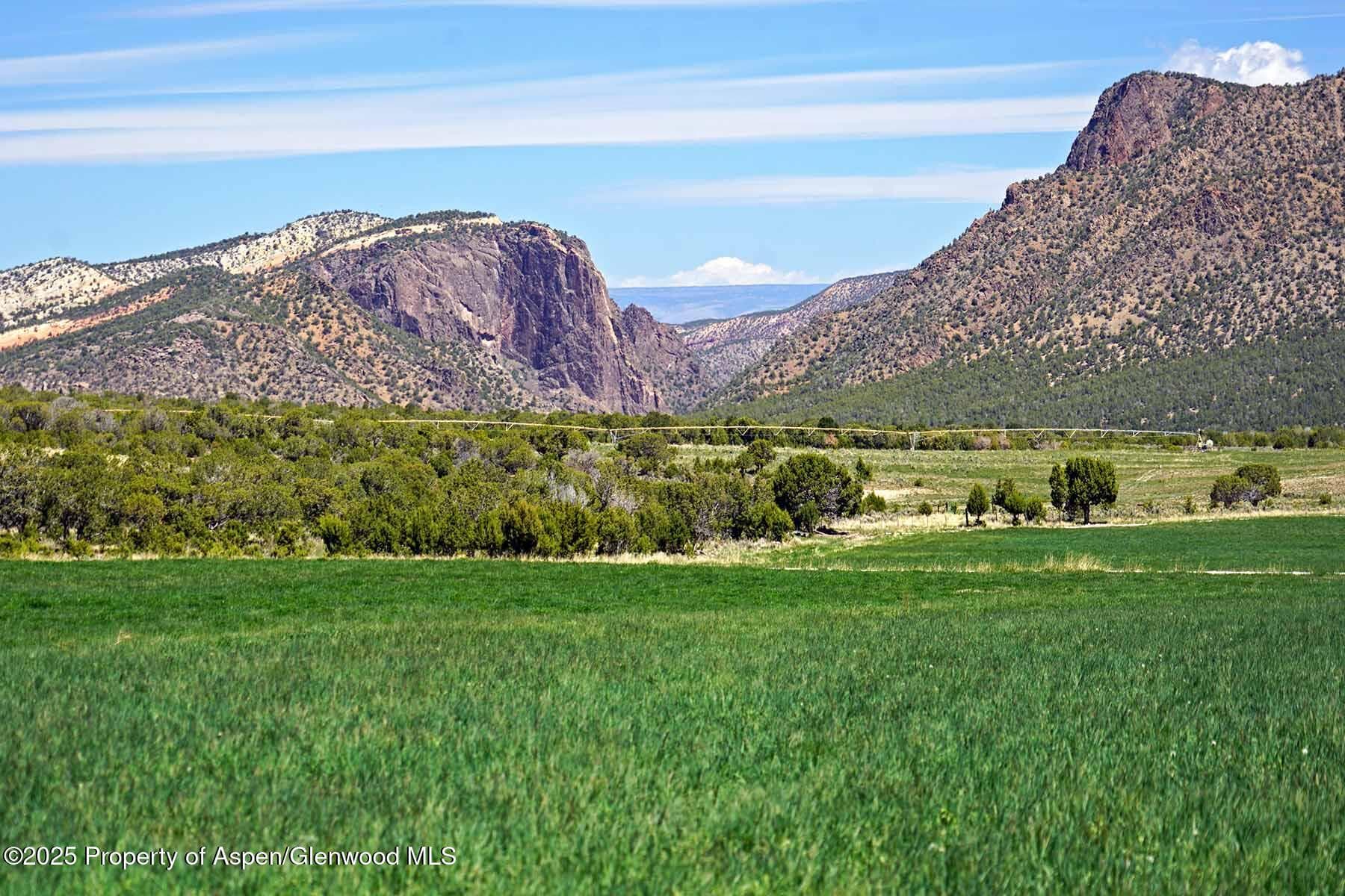 10676 Bostwick Road, Montrose, CO 81401 - Photo 24