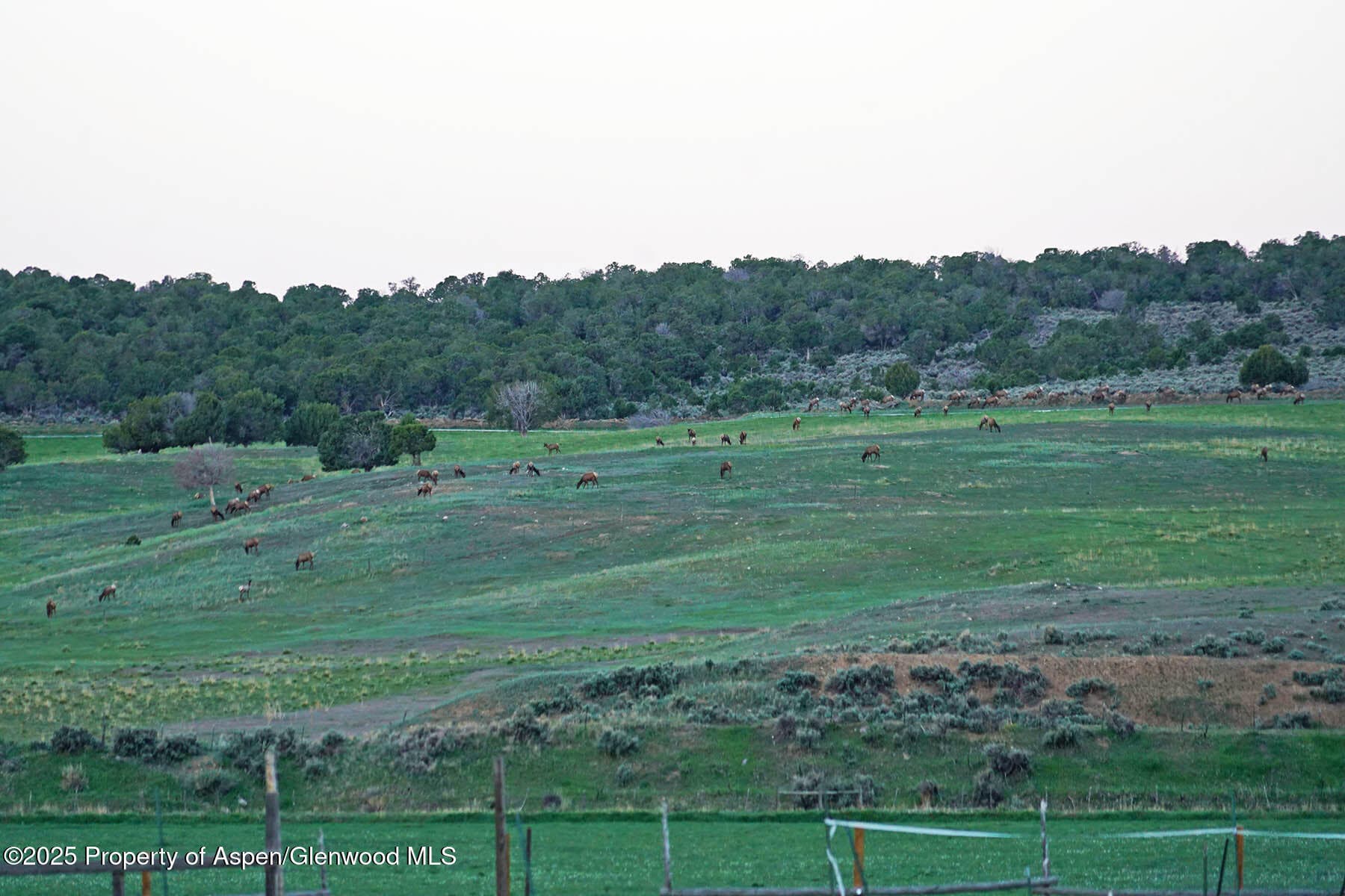 10676 Bostwick Road, Montrose, CO 81401 - Photo 25