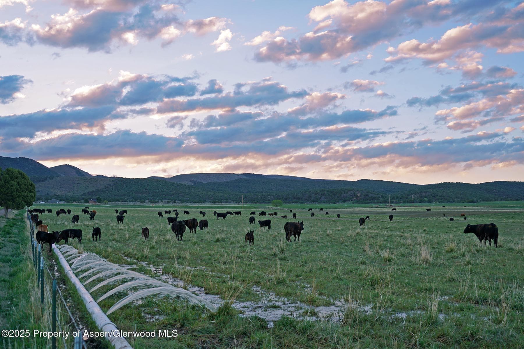 10676 Bostwick Road, Montrose, CO 81401 - Photo 29