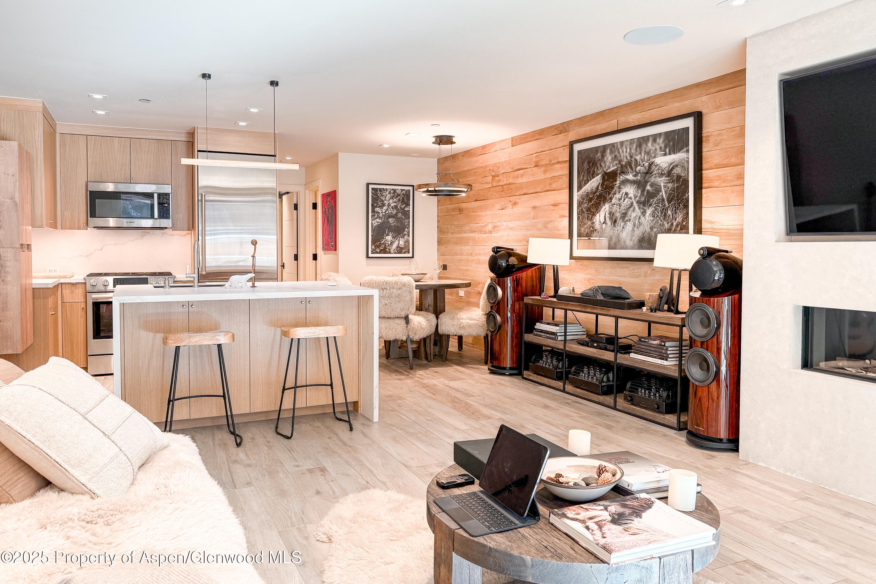 100 E Cooper Avenue 4, Aspen, CO 81611 - Photo 5