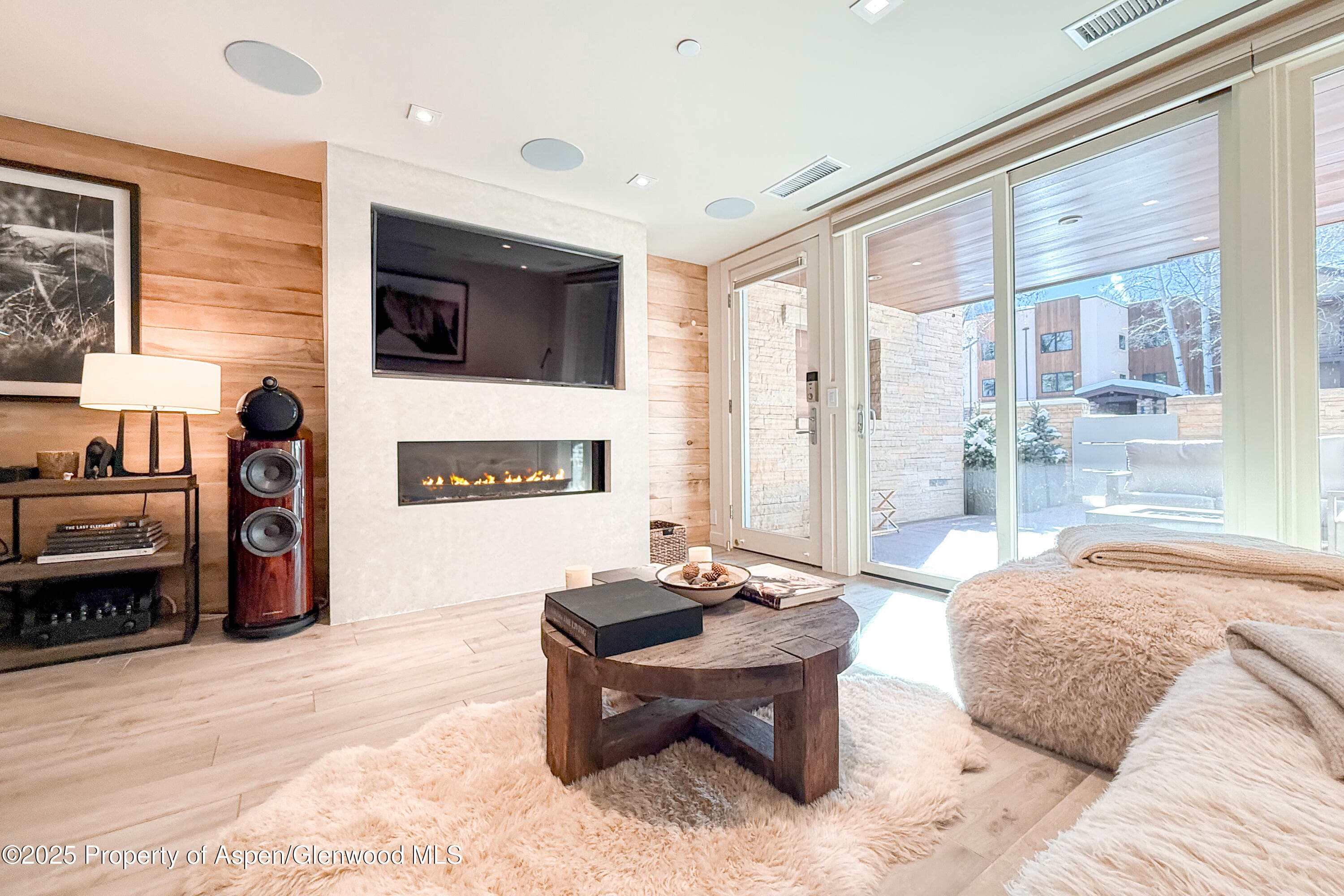 100 E Cooper Avenue 4, Aspen, CO 81611 - Photo 6