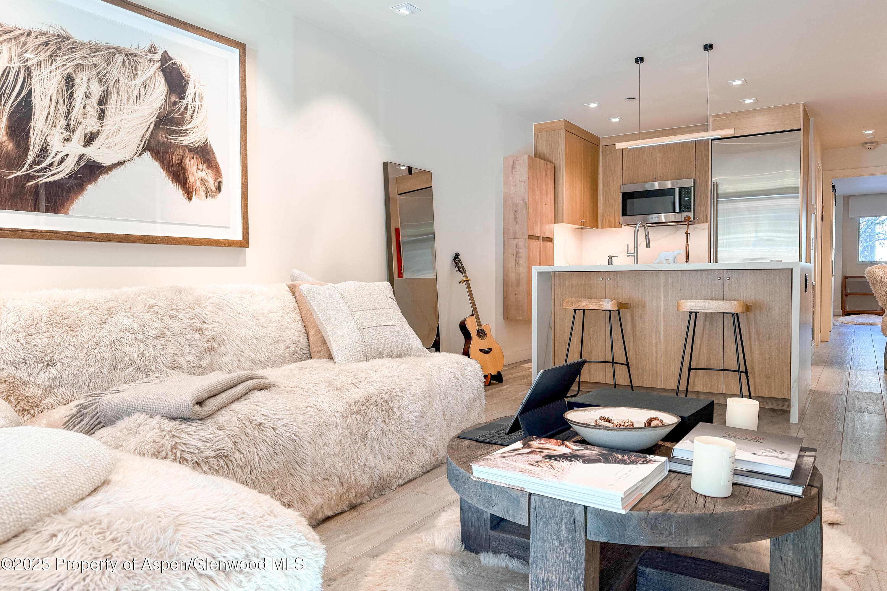 100 E Cooper Avenue 4, Aspen, CO 81611 - Photo 3