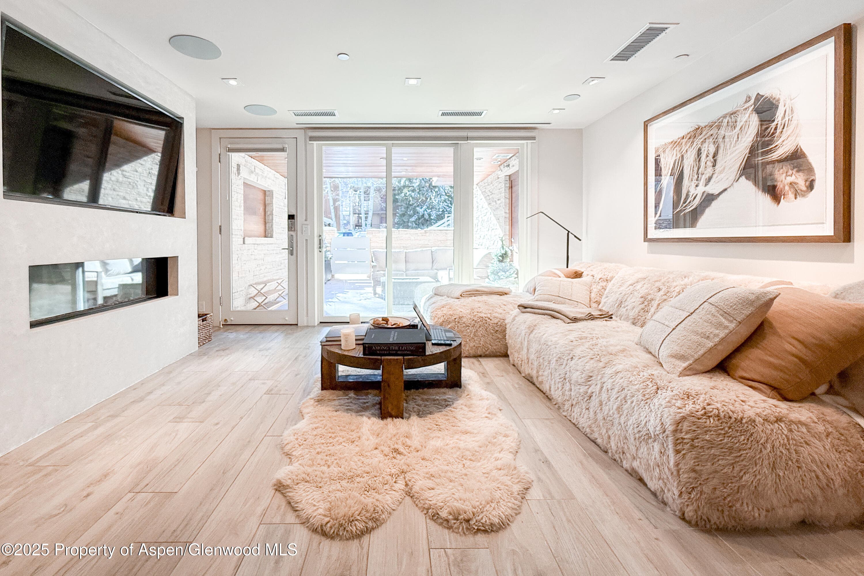 100 E Cooper Avenue 4, Aspen, CO 81611 - Photo 4