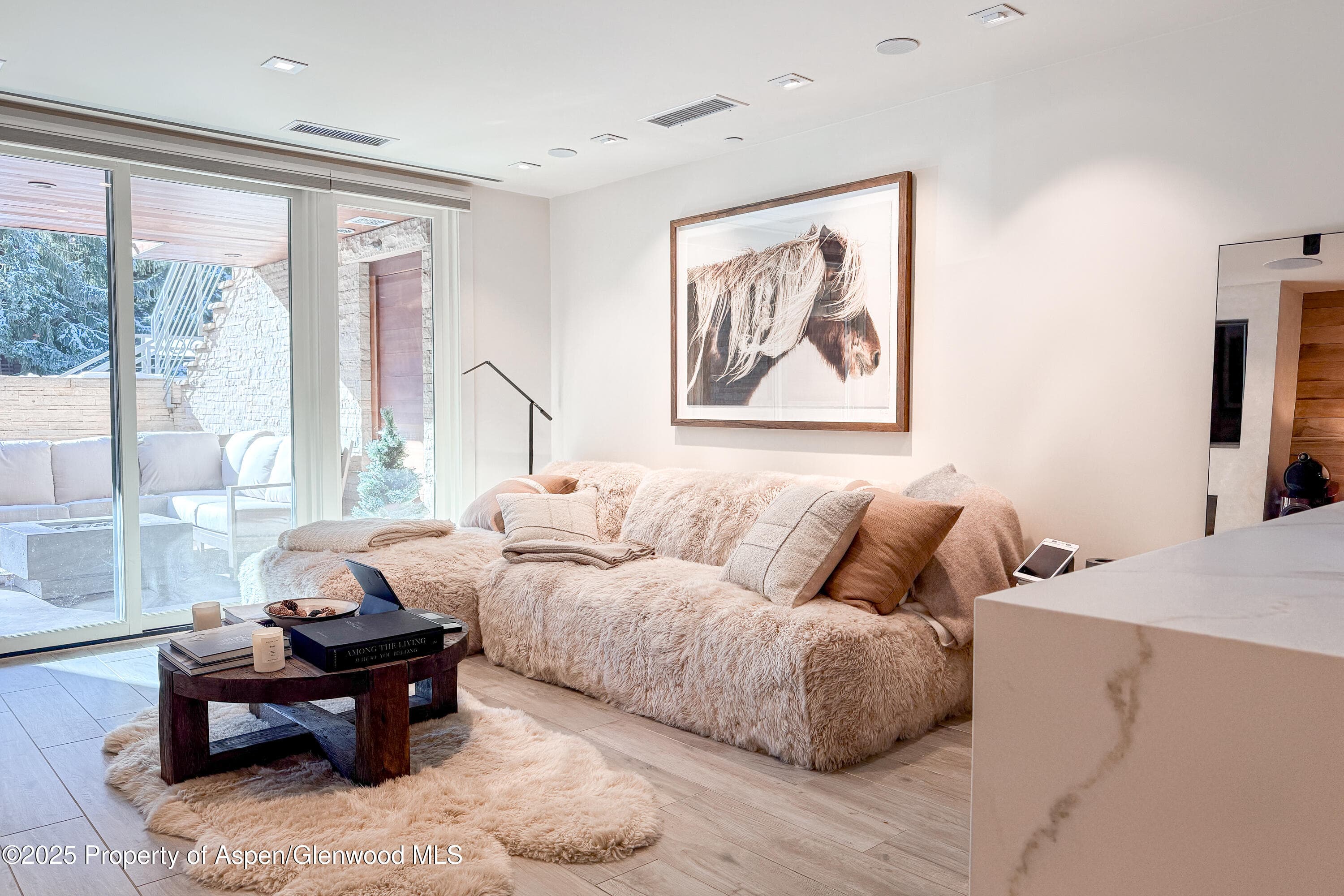 100 E Cooper Avenue 4, Aspen, CO 81611 - Photo 1