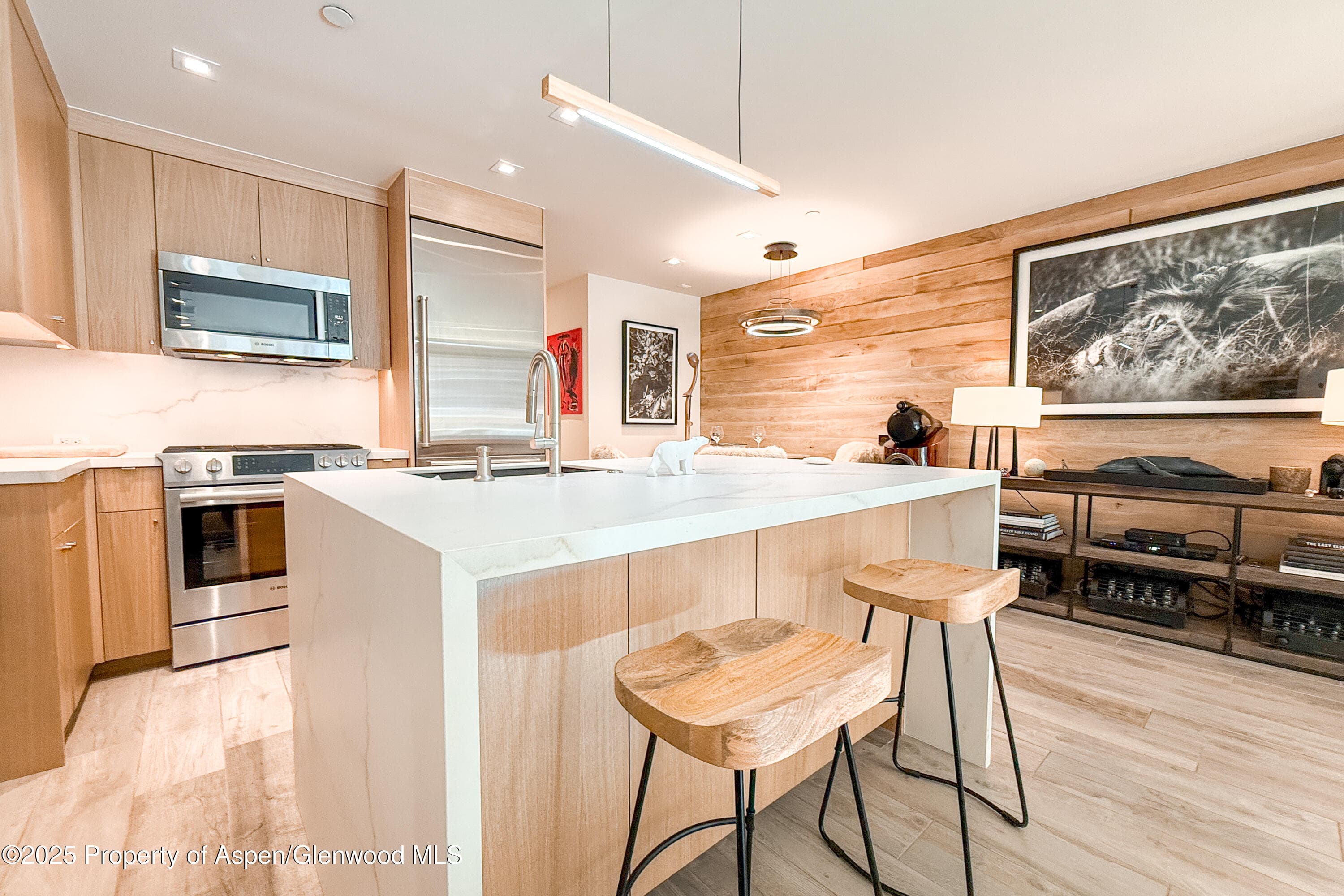 100 E Cooper Avenue 4, Aspen, CO 81611 - Photo 8