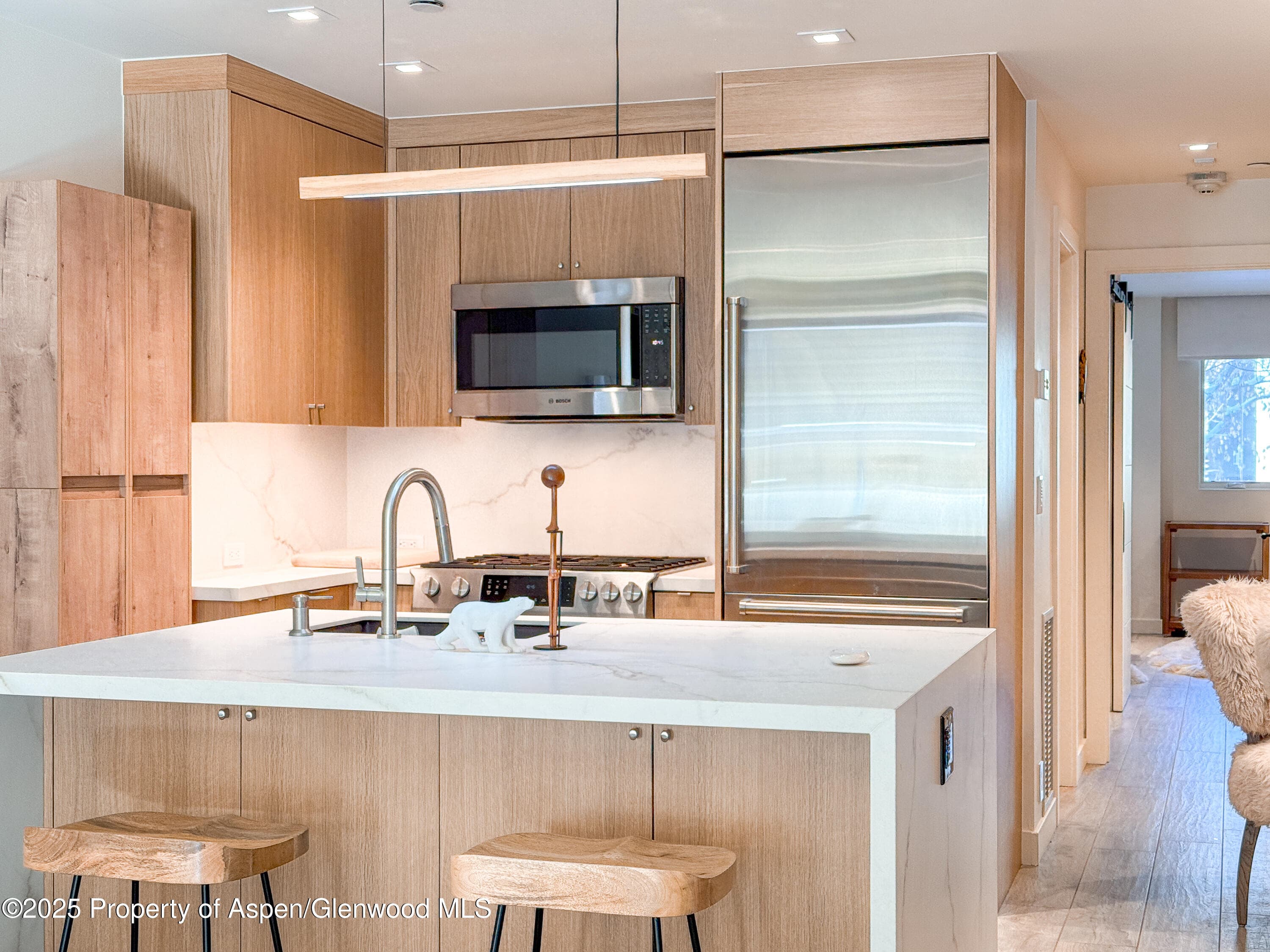 100 E Cooper Avenue 4, Aspen, CO 81611 - Photo 9