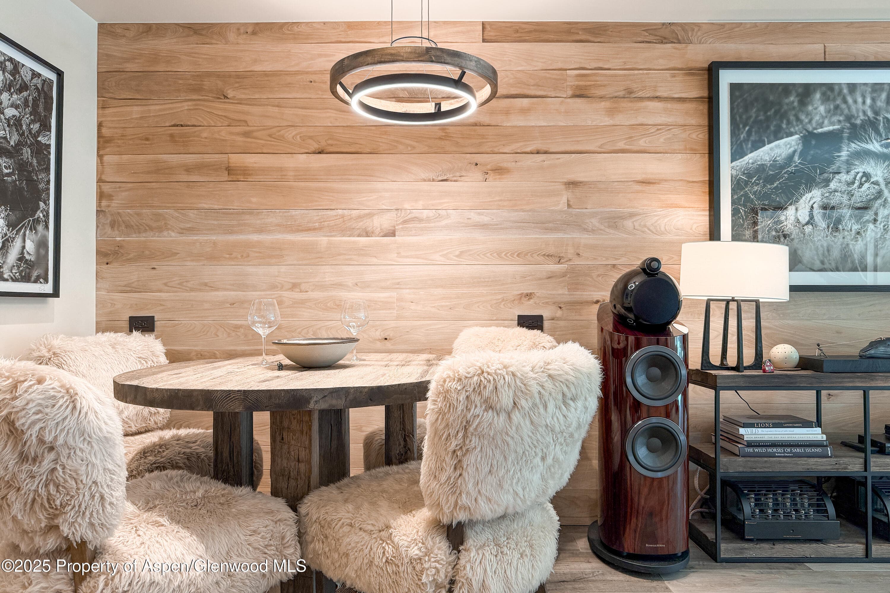 100 E Cooper Avenue 4, Aspen, CO 81611 - Photo 10