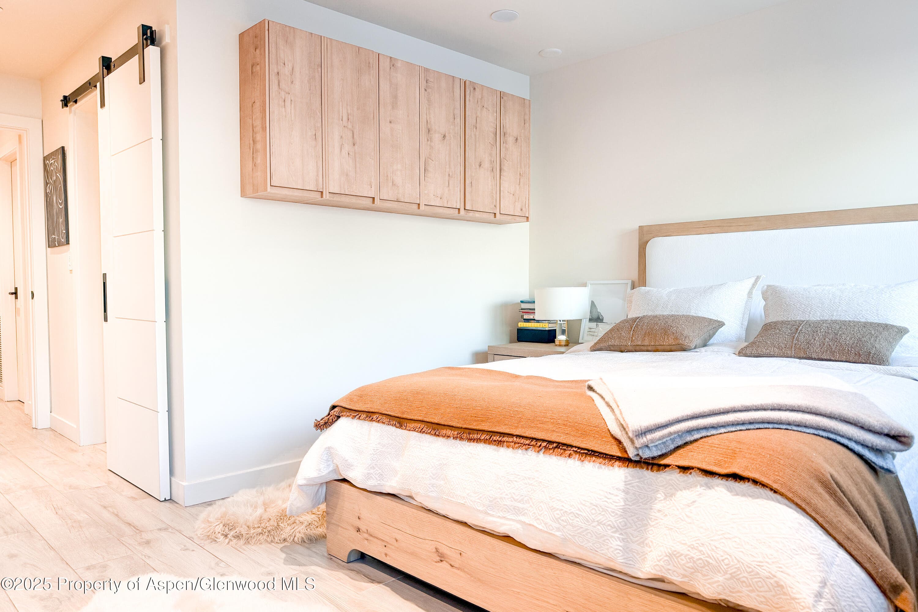 100 E Cooper Avenue 4, Aspen, CO 81611 - Photo 11