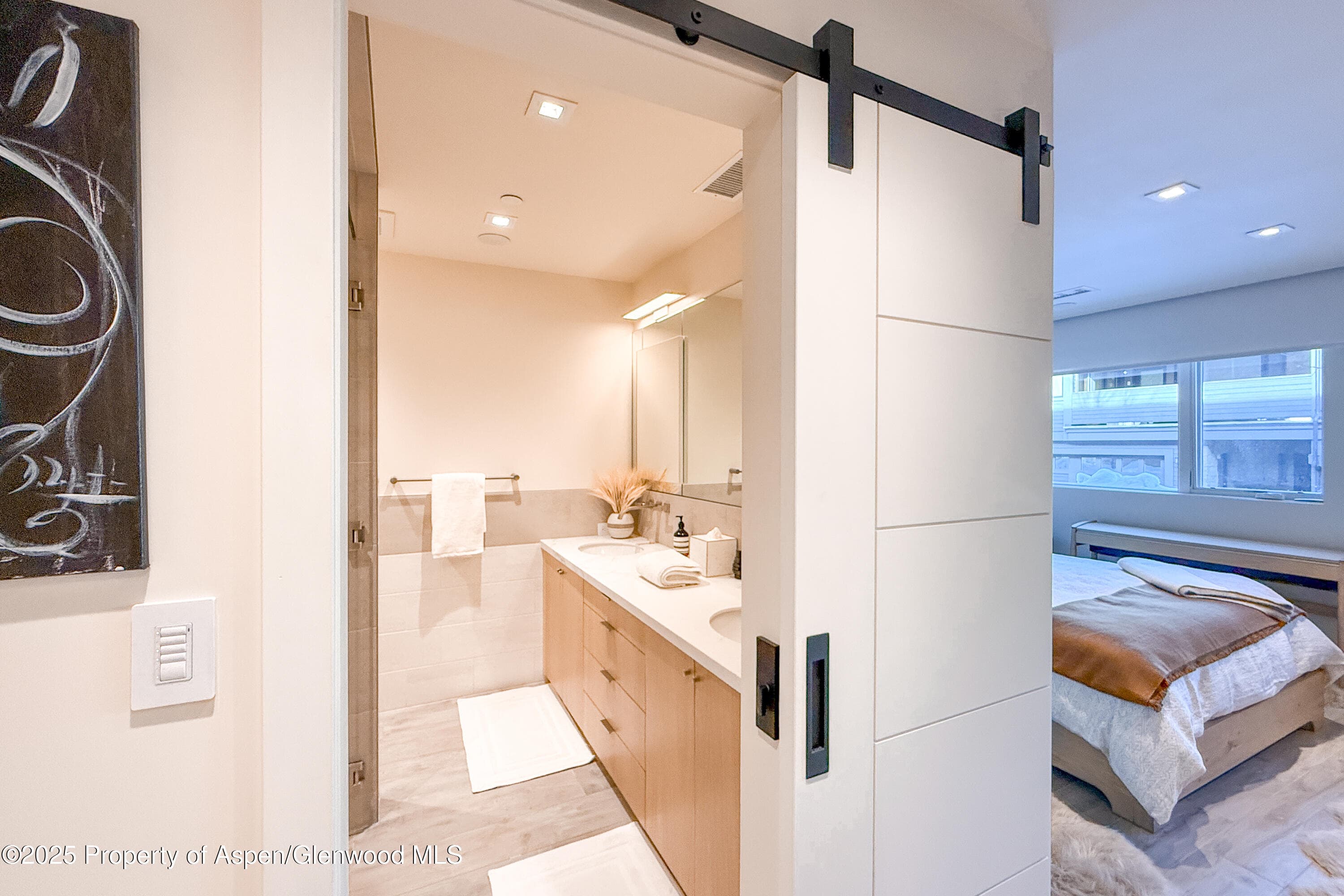 100 E Cooper Avenue 4, Aspen, CO 81611 - Photo 14