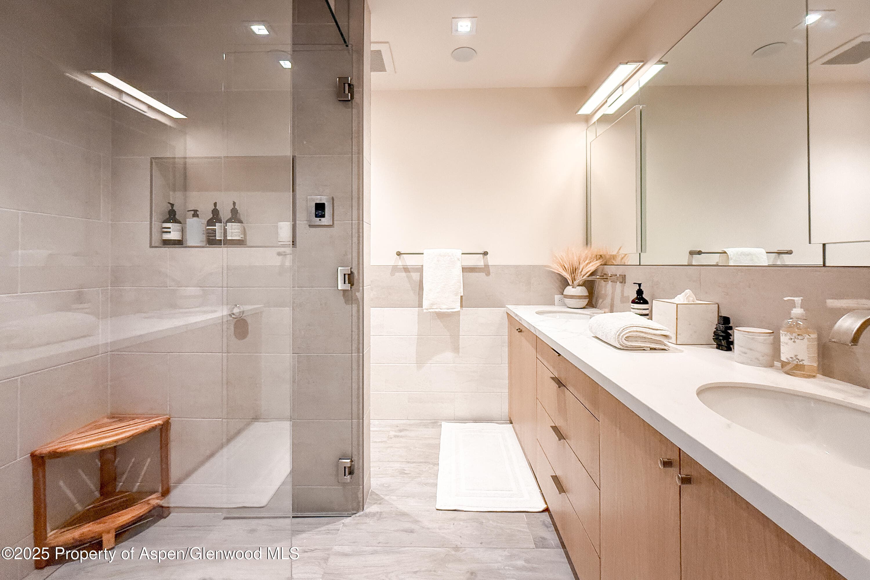 100 E Cooper Avenue 4, Aspen, CO 81611 - Photo 15