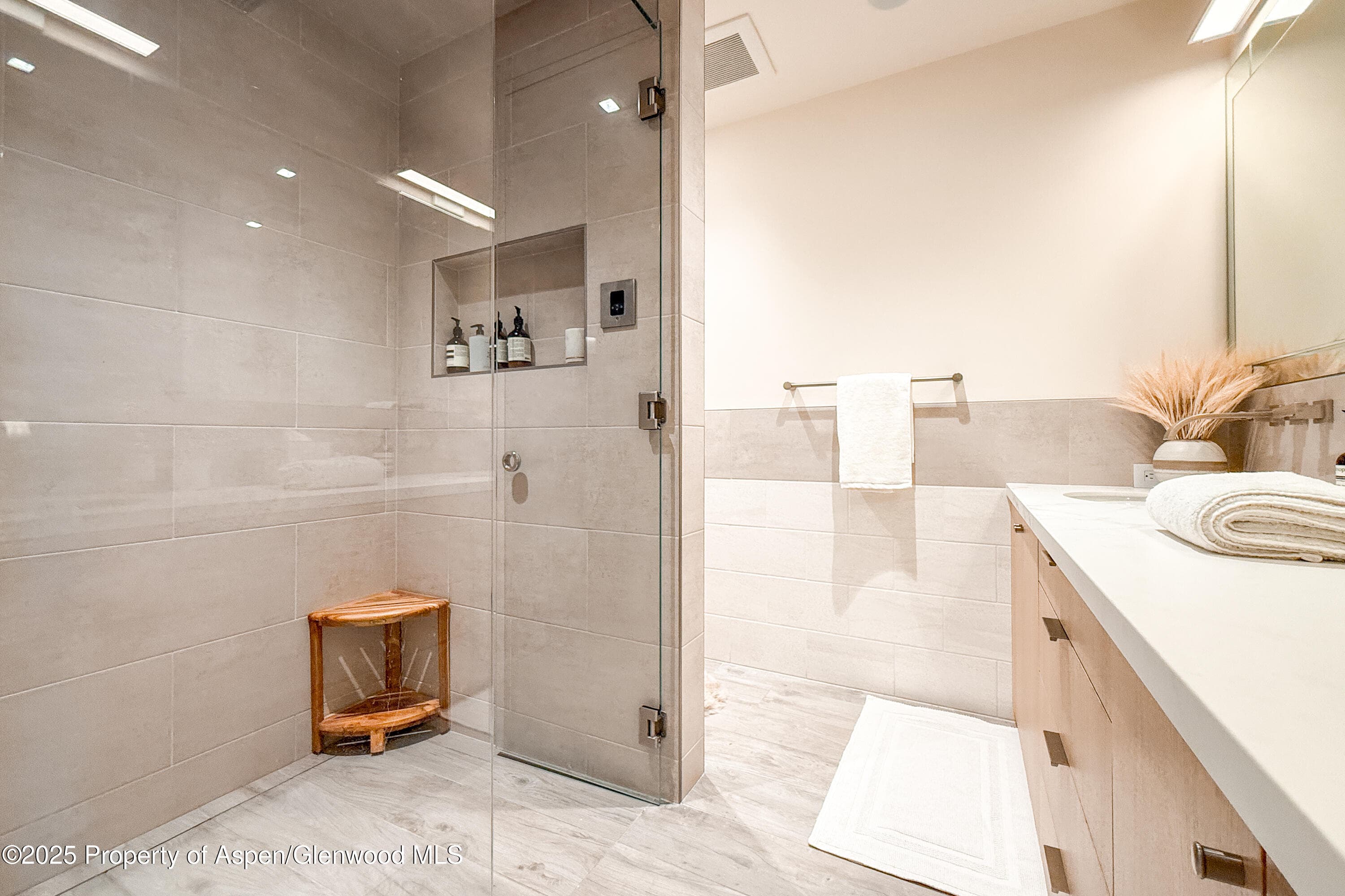 100 E Cooper Avenue 4, Aspen, CO 81611 - Photo 16