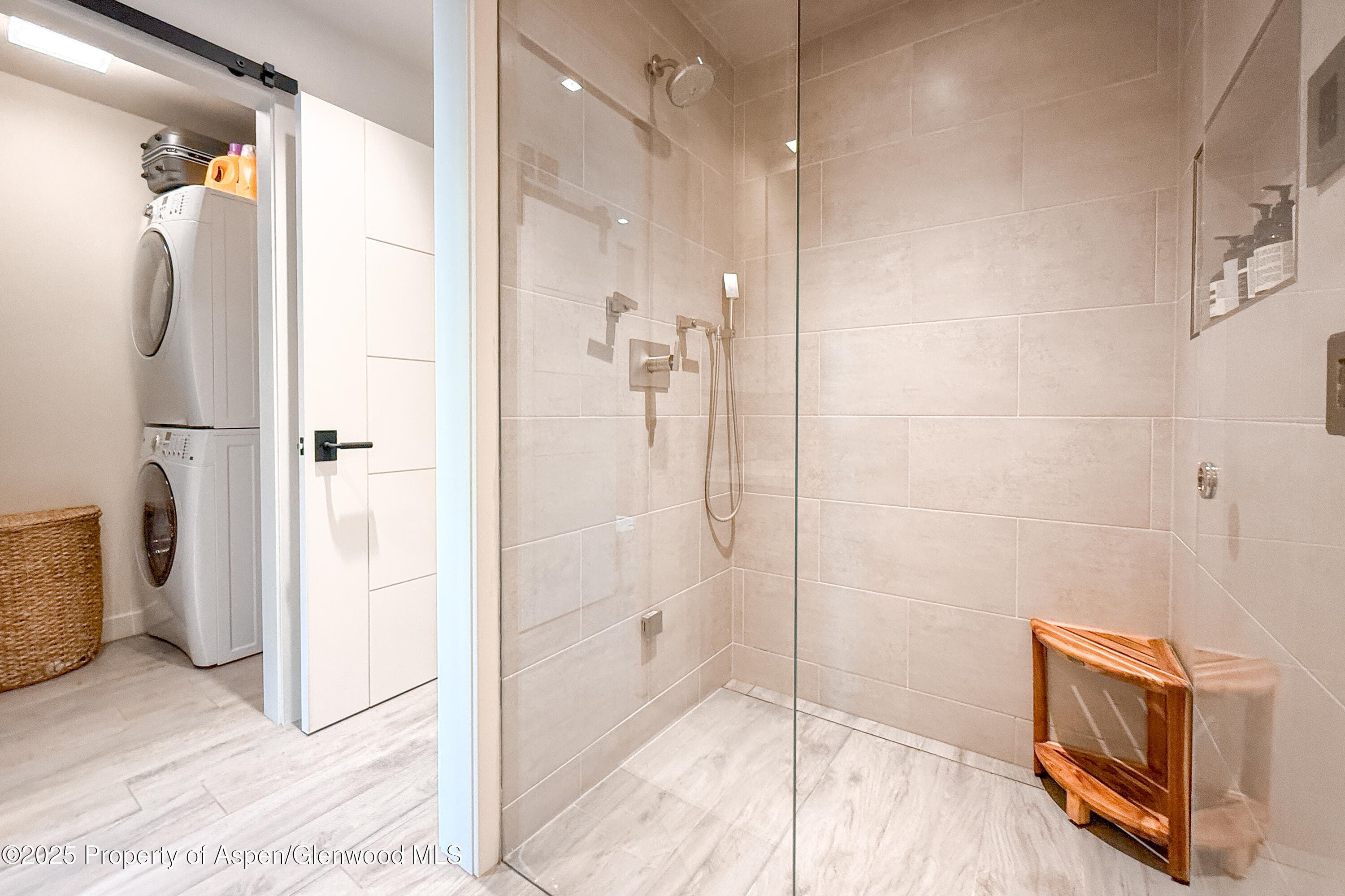 100 E Cooper Avenue 4, Aspen, CO 81611 - Photo 17