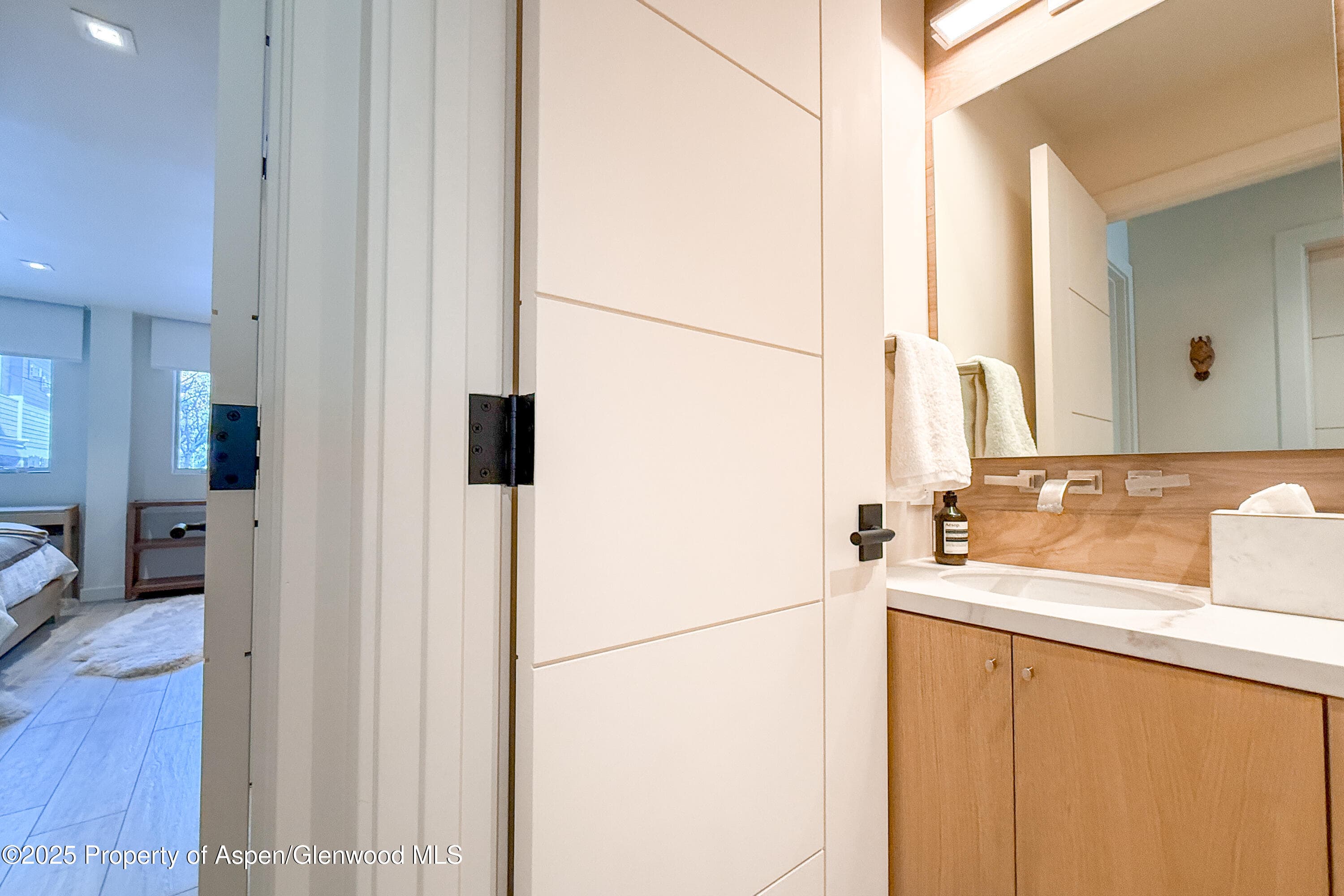 100 E Cooper Avenue 4, Aspen, CO 81611 - Photo 18